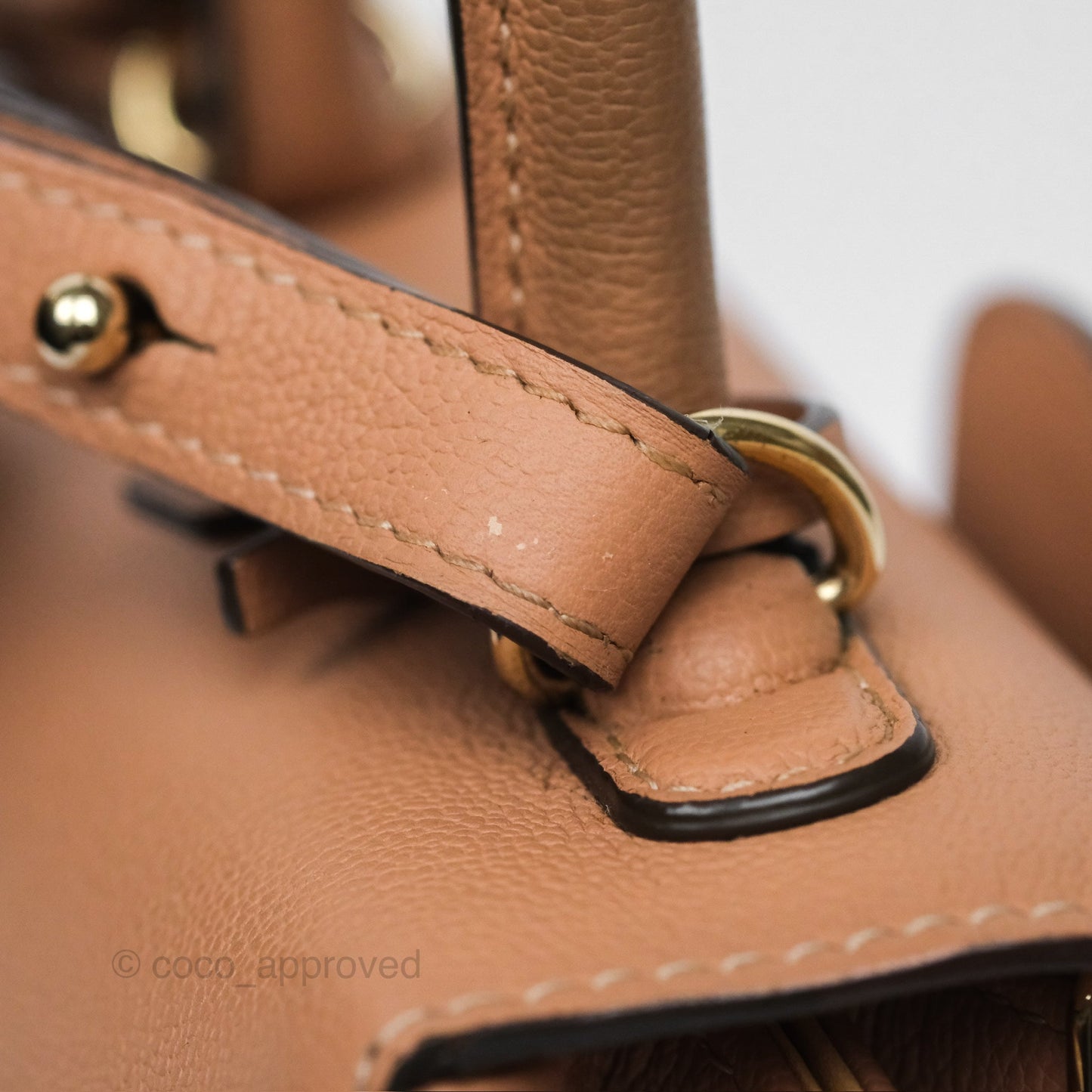 Delvaux Mini Brillant Bag Nude Grained Calfskin Gold Hardware