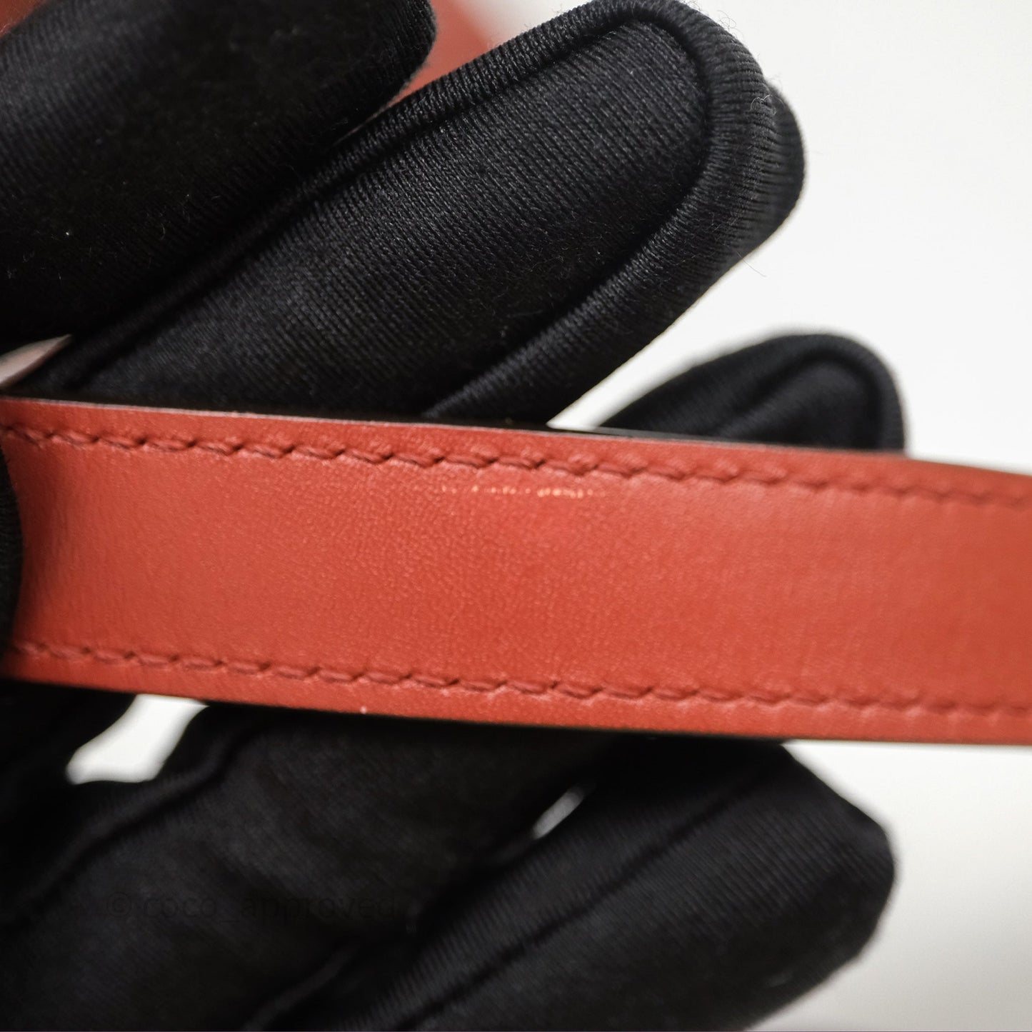 Celine Mini Belt Bag Brick Red Grained Goatskin Gold Hardware