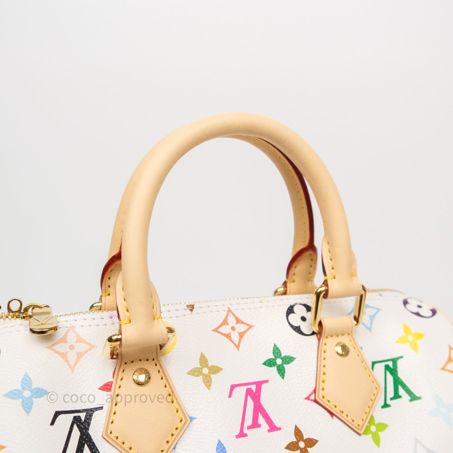 Louis Vuitton x TM Speedy Bandoulière 25