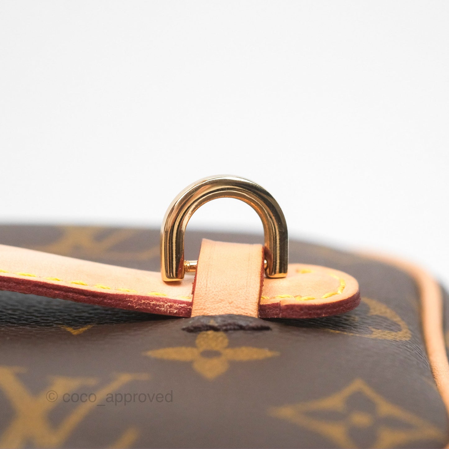 Louis Vuitton Monogram Nice Mini