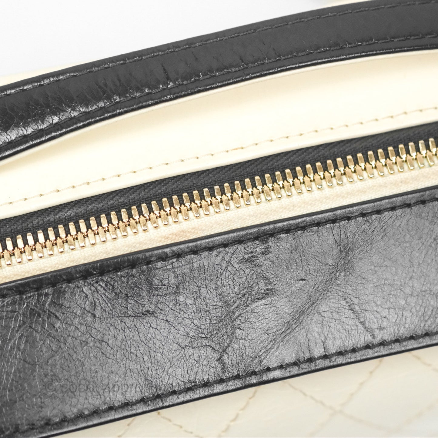 Chanel Camera Case Bag Black/White Calfskin Gold Hardware