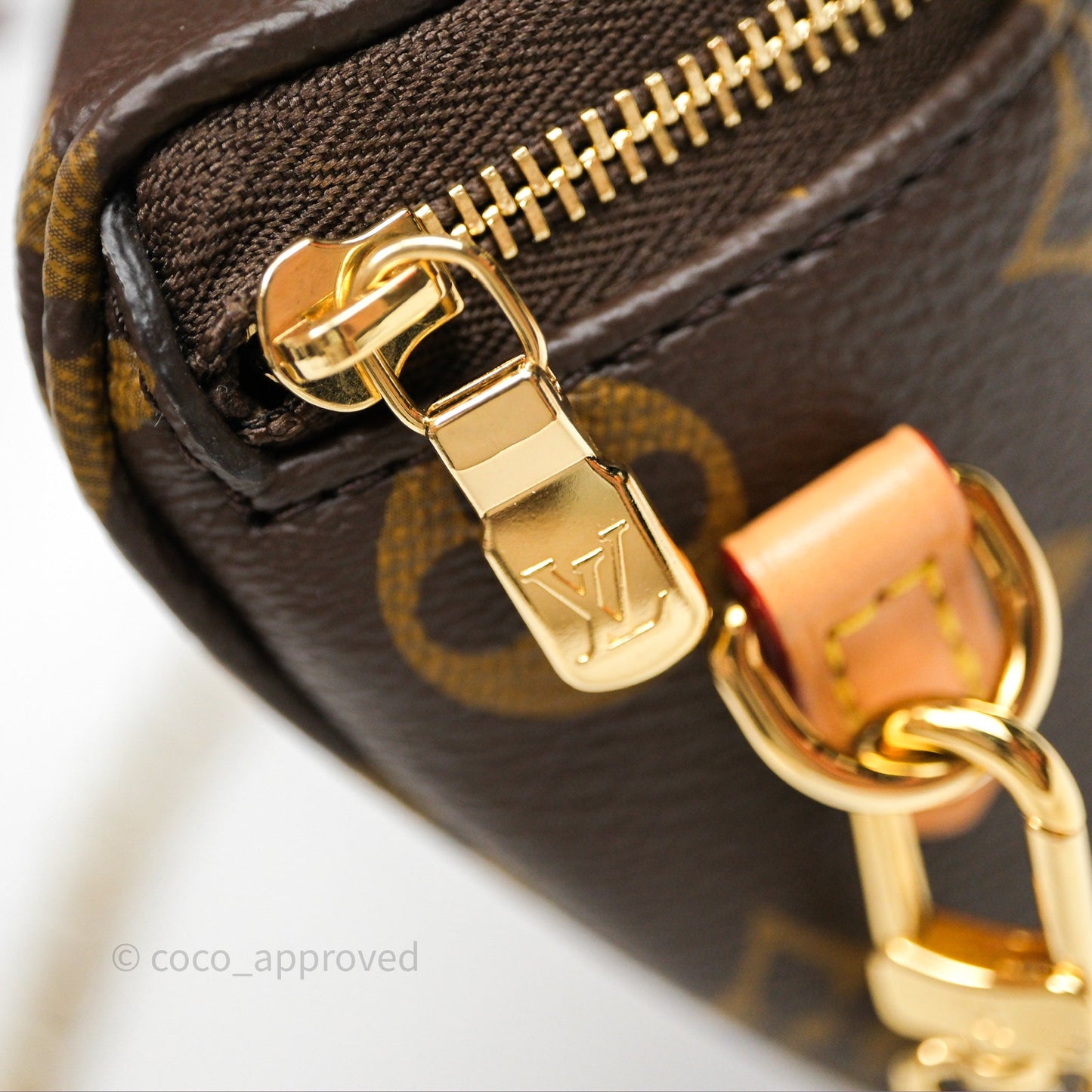 Louis Vitton Mini Bumbag in Monogram Canvas