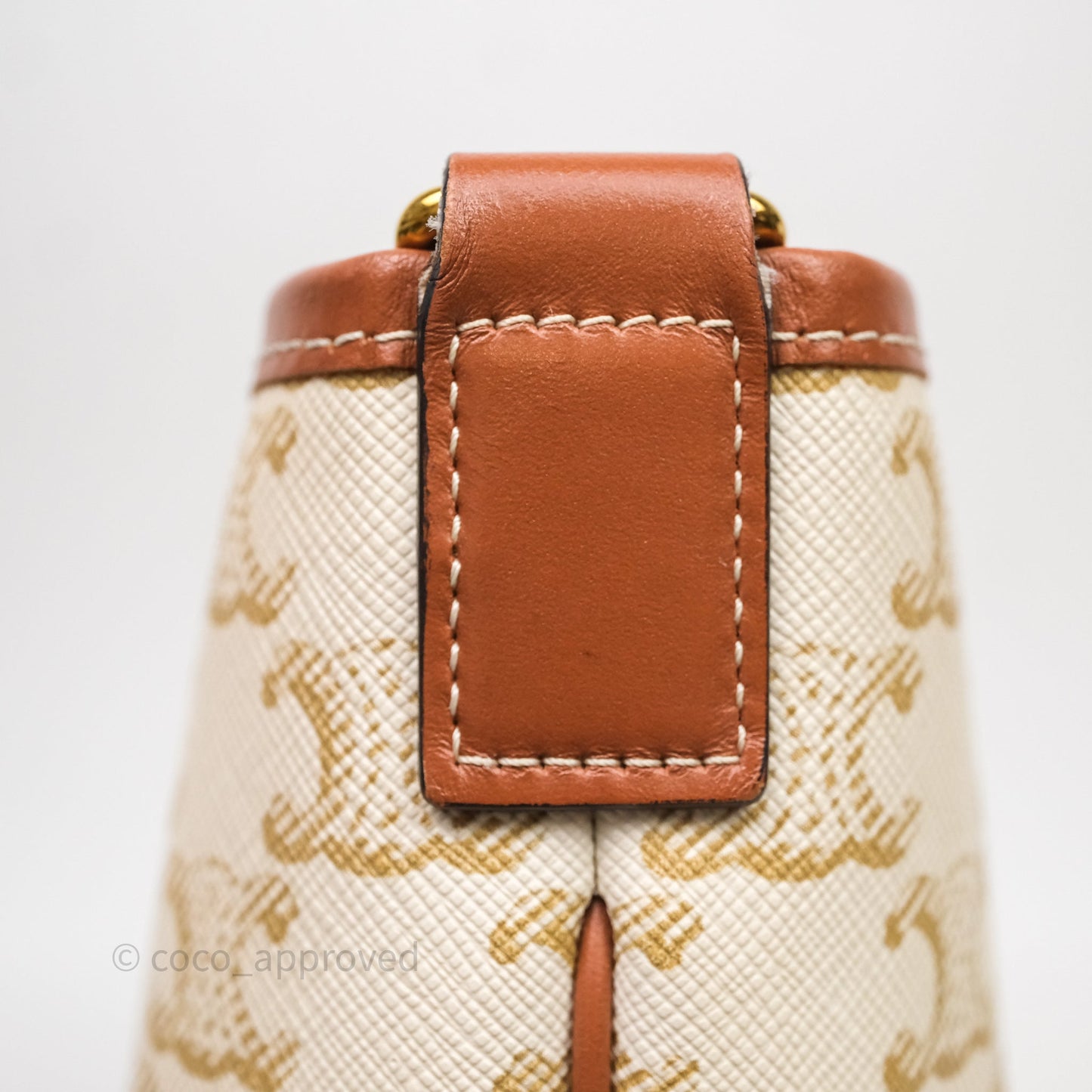 Celine Small Bucket Triomphe Canvas Grege Calfskin