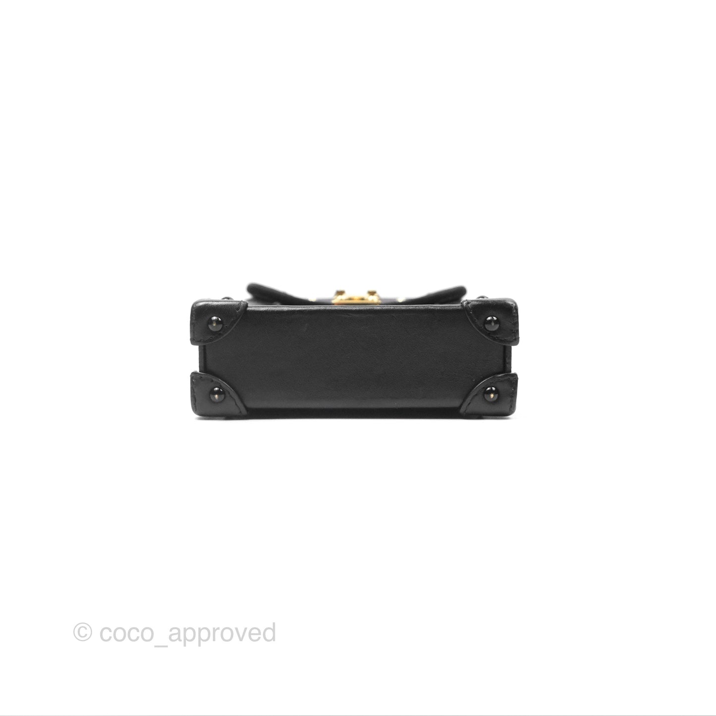 Louis Vuitton Monogram Vertical Trunk Pochette