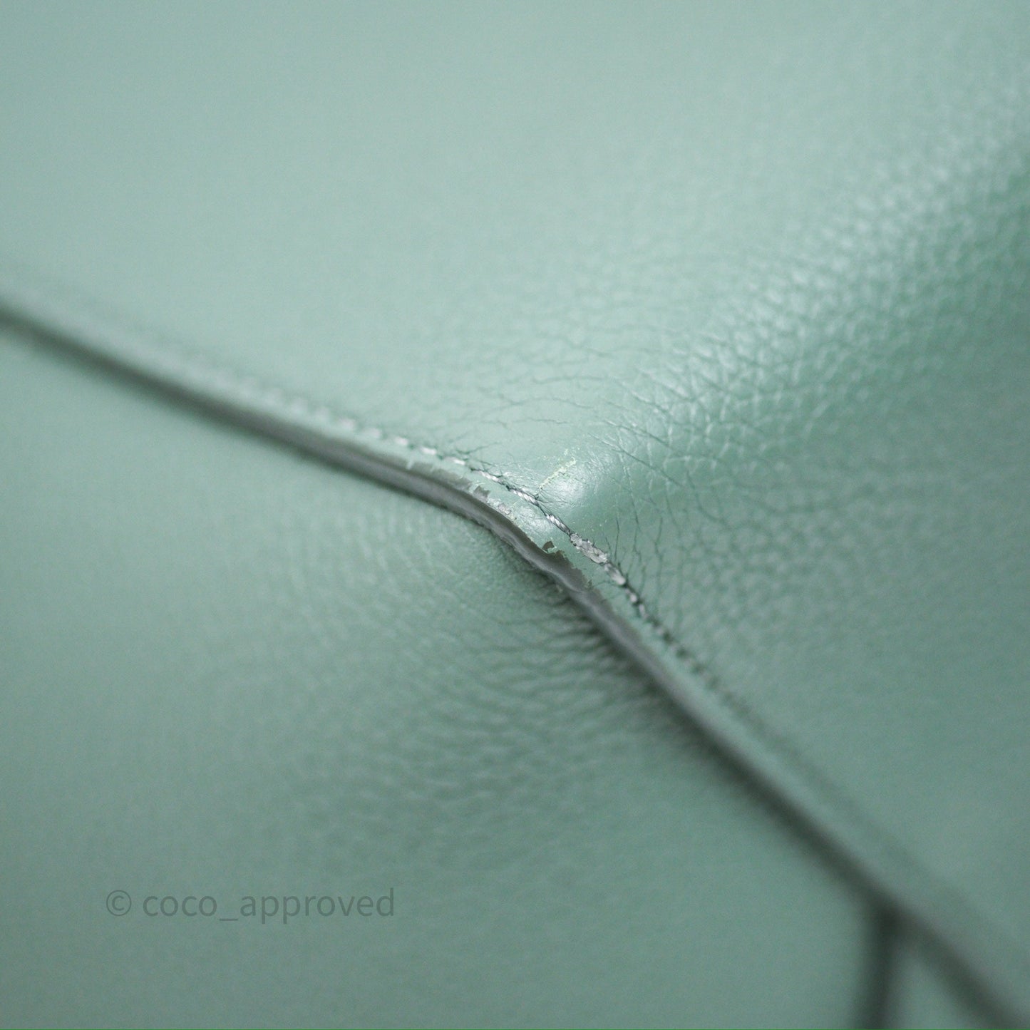 Celine Small Sangle Bucket Bag Light Green Celadon Grained Calfskin Silver Hardware