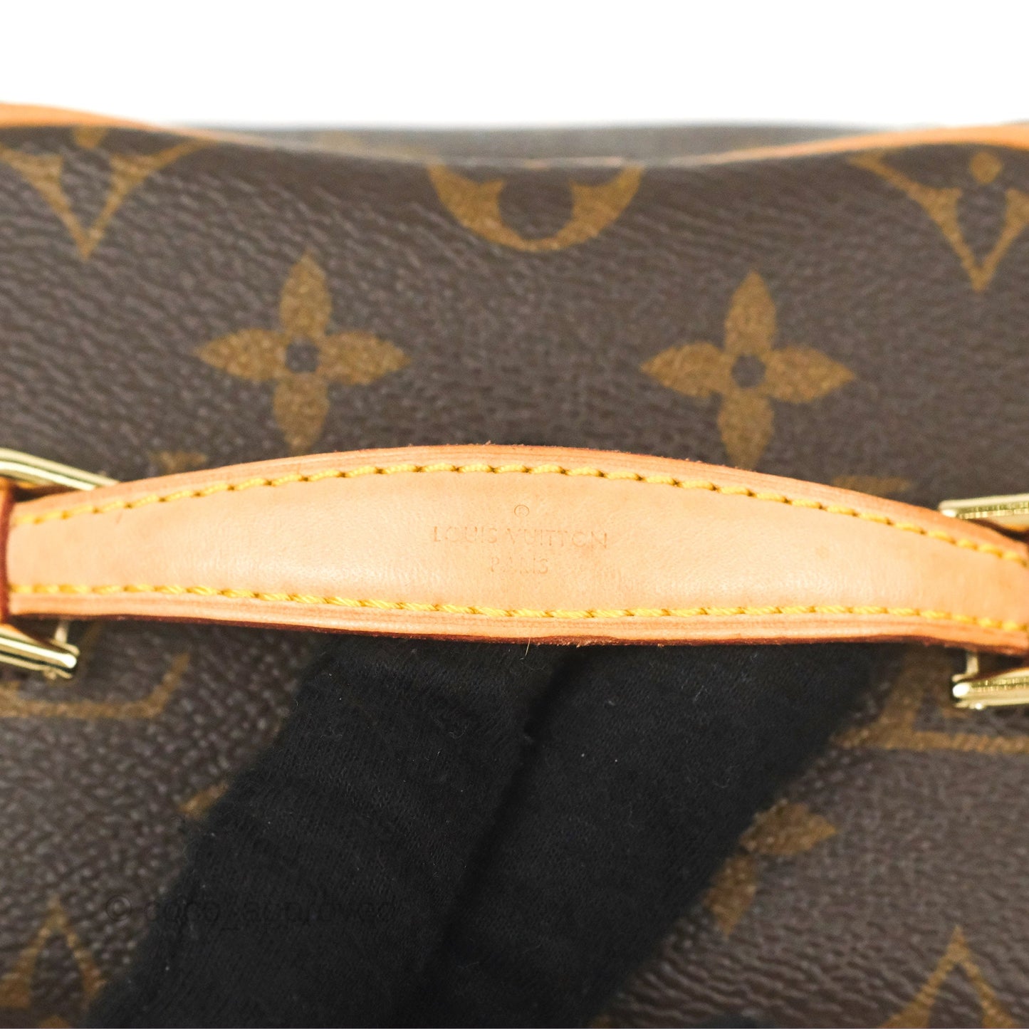 Louis Vuitton Nano Nice Monogram