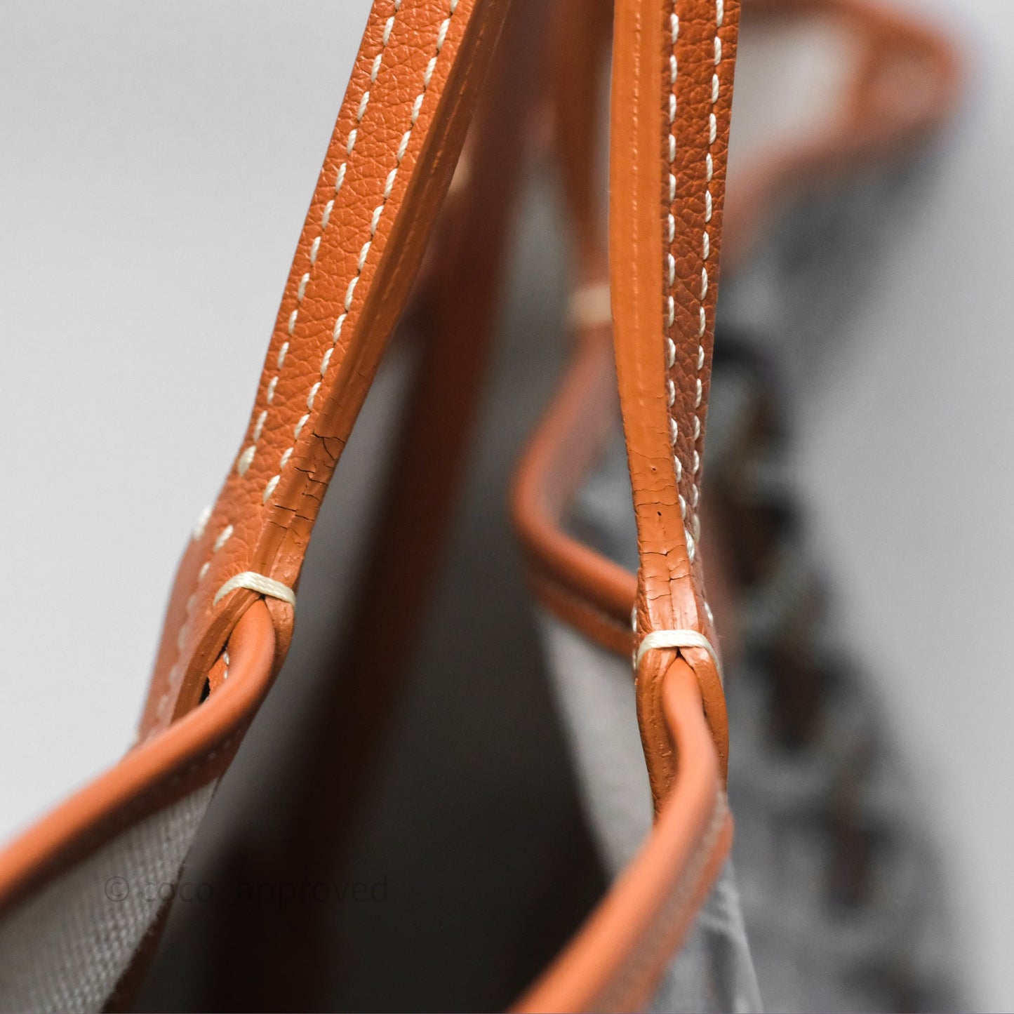 Goyard Saint Louis Tote PM⁣⁣⁣⁣⁣⁣⁣⁣⁣⁣⁣⁣⁣⁣⁣⁣⁣⁣⁣⁣ Black/Tan