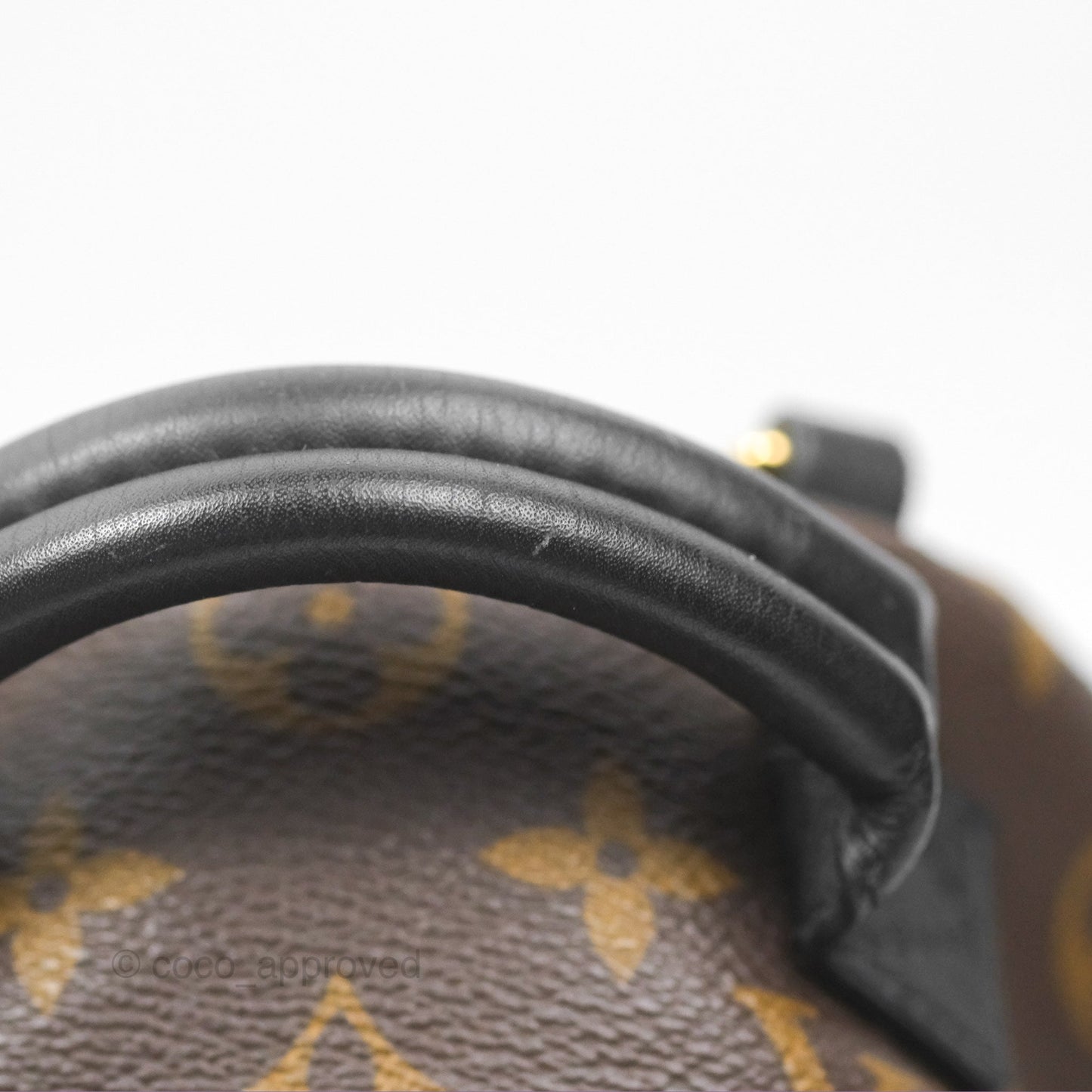 Louis Vuitton Mini Palm Springs Backpack⁣ Monogram
