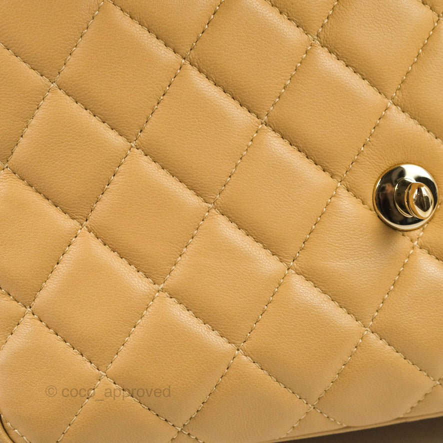 Chanel Calfskin Coco Vintage Camera Case Beige Gold Hardware