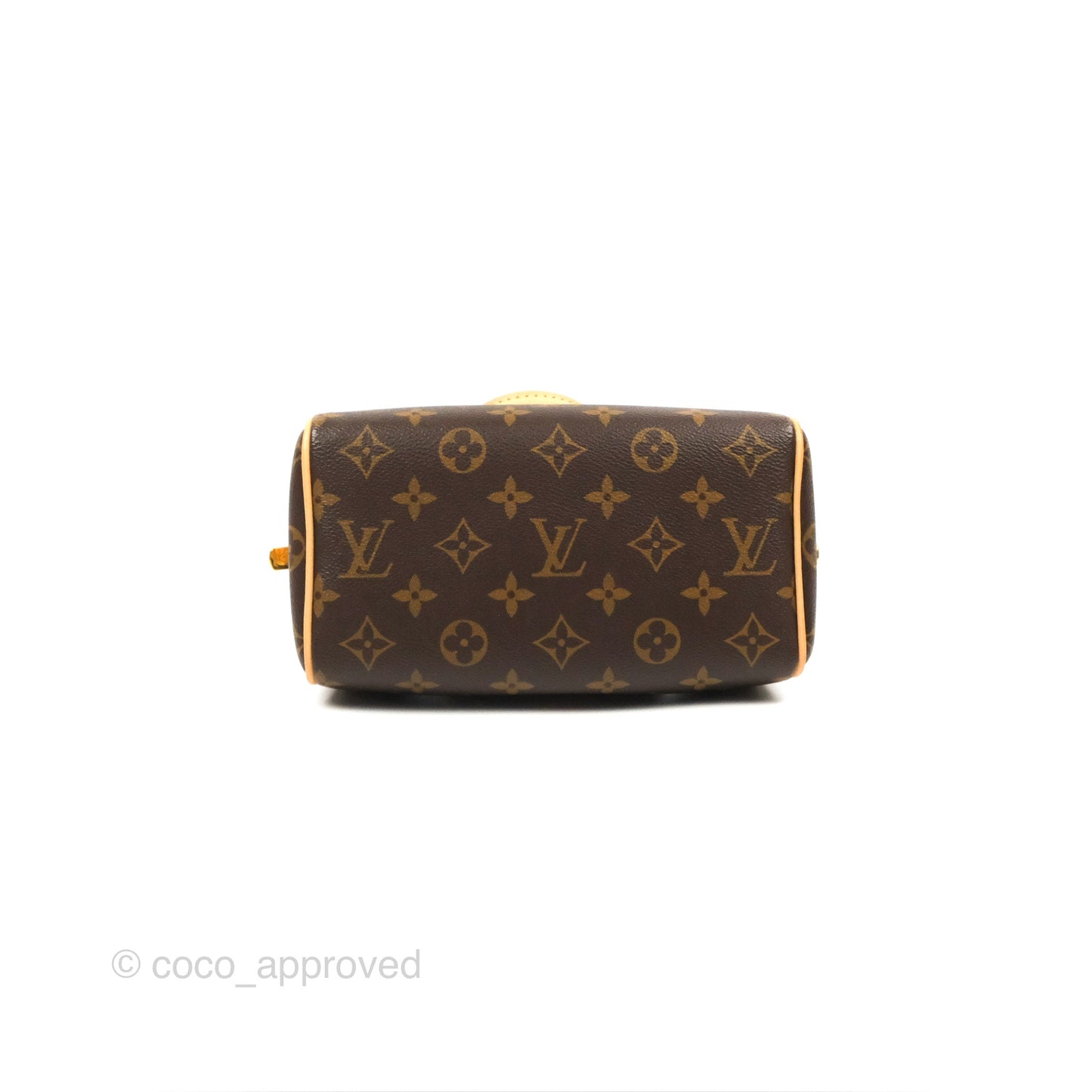 Louis Vuitton Speedy Bandoulière 20 Monogram