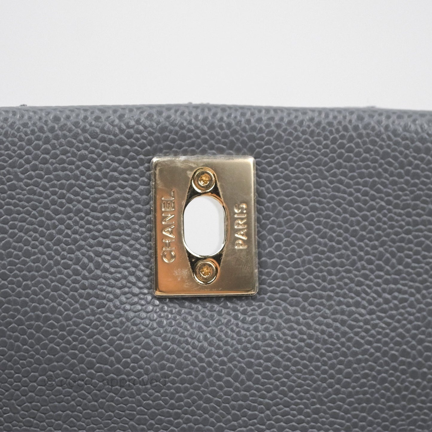 Chanel Duma Backpack Medium Grey Caviar Gold Hardware