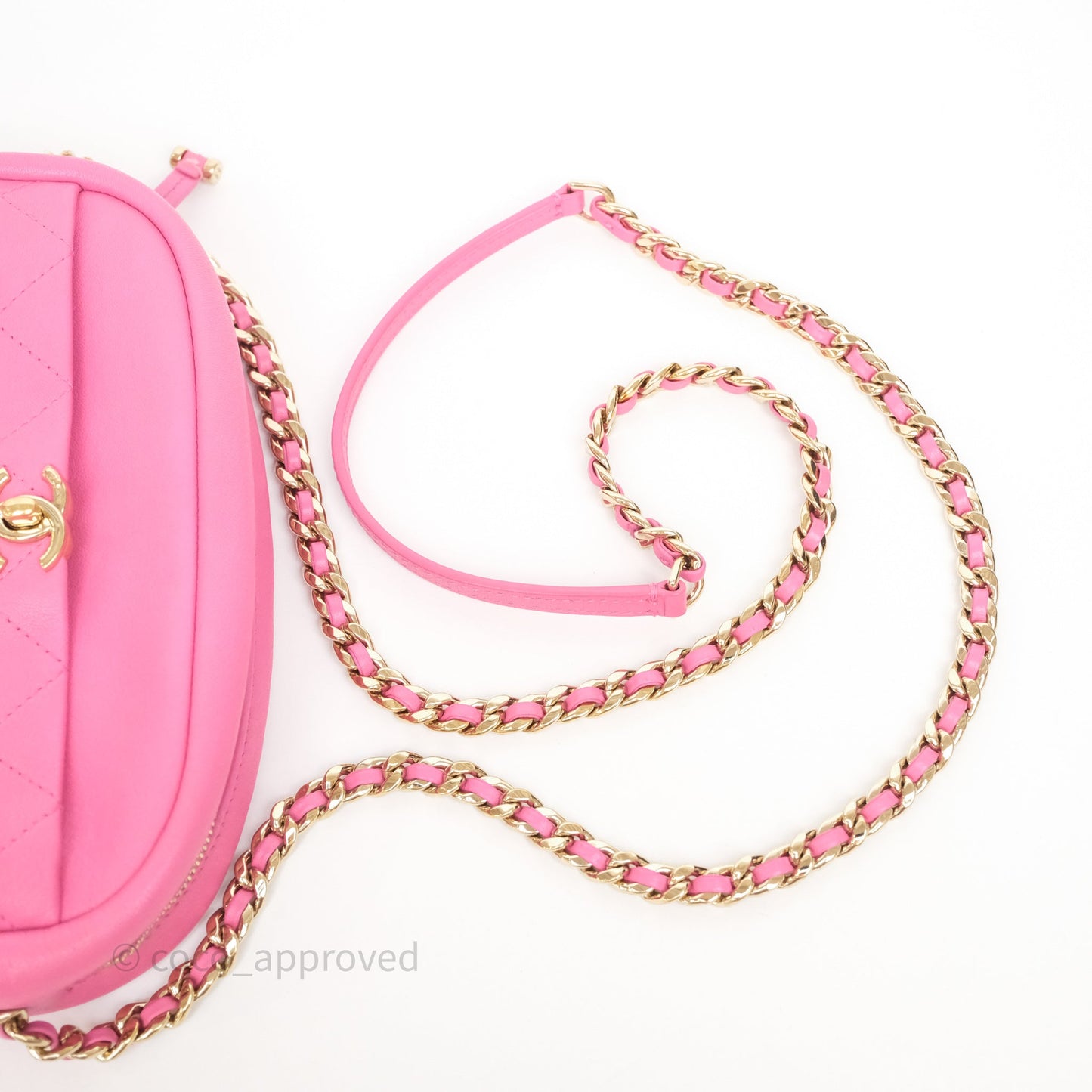 Chanel Camera Bag Pink Calfskin Aged Gold Hardware