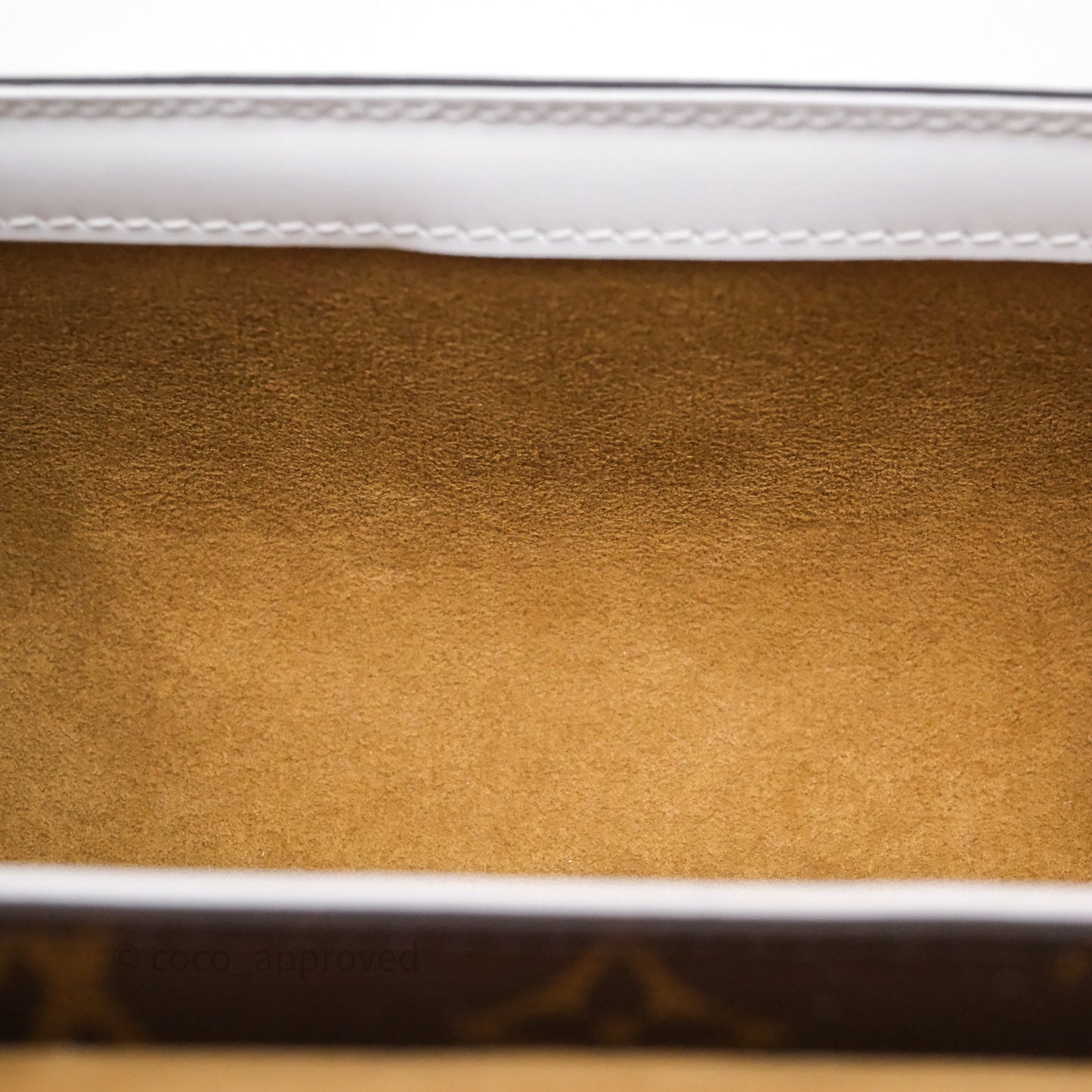Louis Vuitton Monogram Papillon Trunk Bag