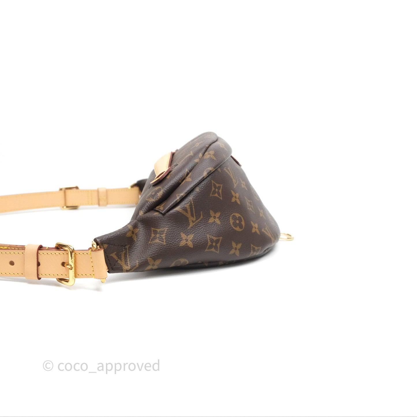 Louis Vuitton Bum Bag Monogram Canvas