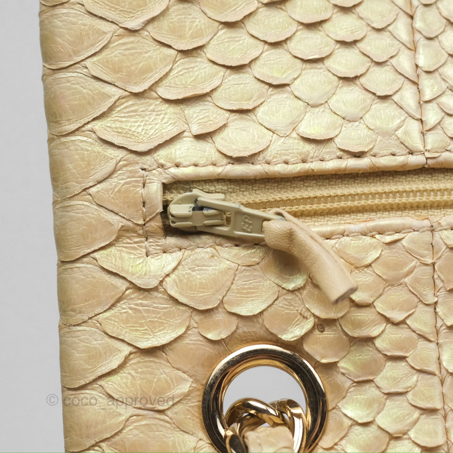 Chanel Jumbo Double Flap Iridescent Gold Python Gold Hardware⁣⁣