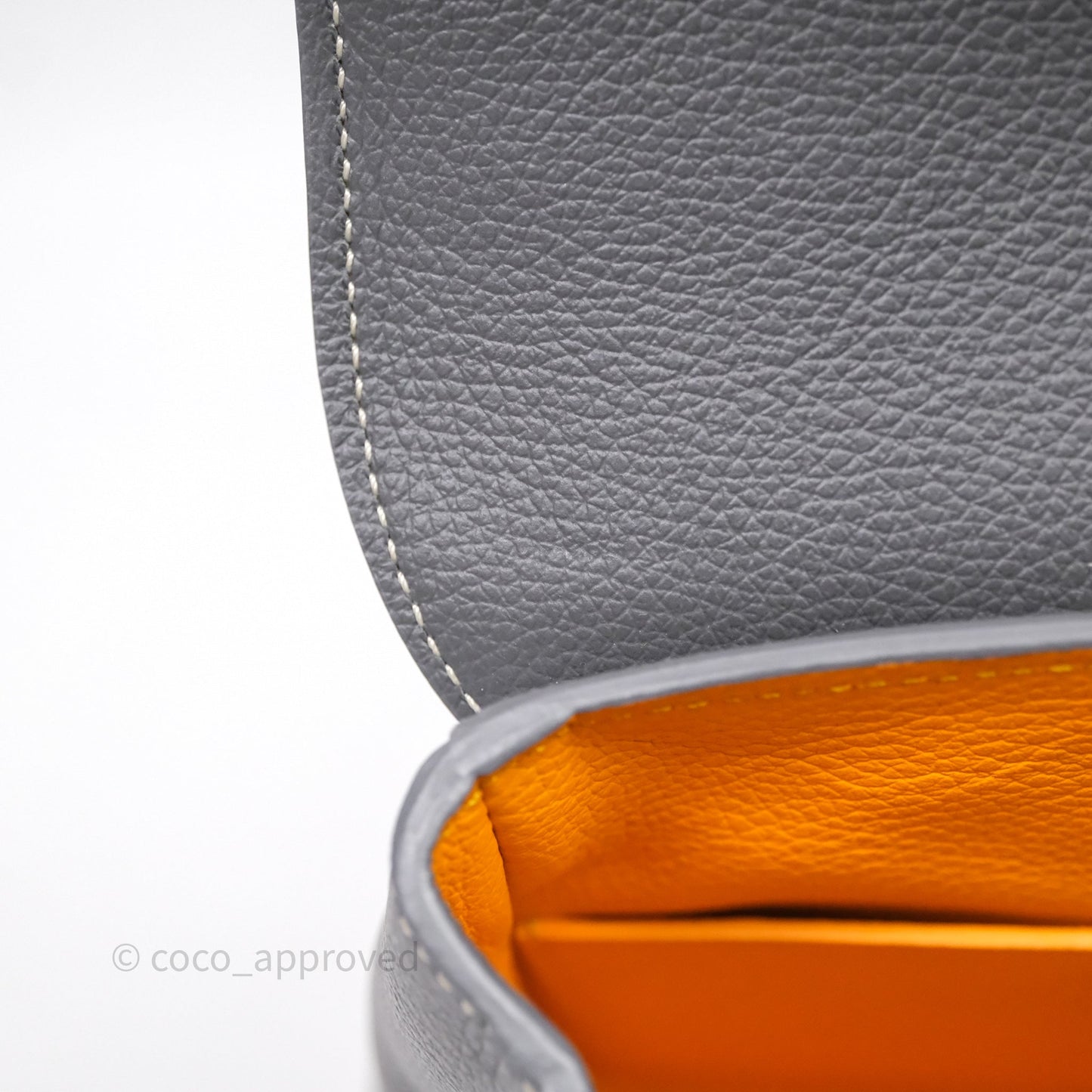 Goyard Saïgon Mini Bag Chevroches Calfskin Grey Silver Hardware