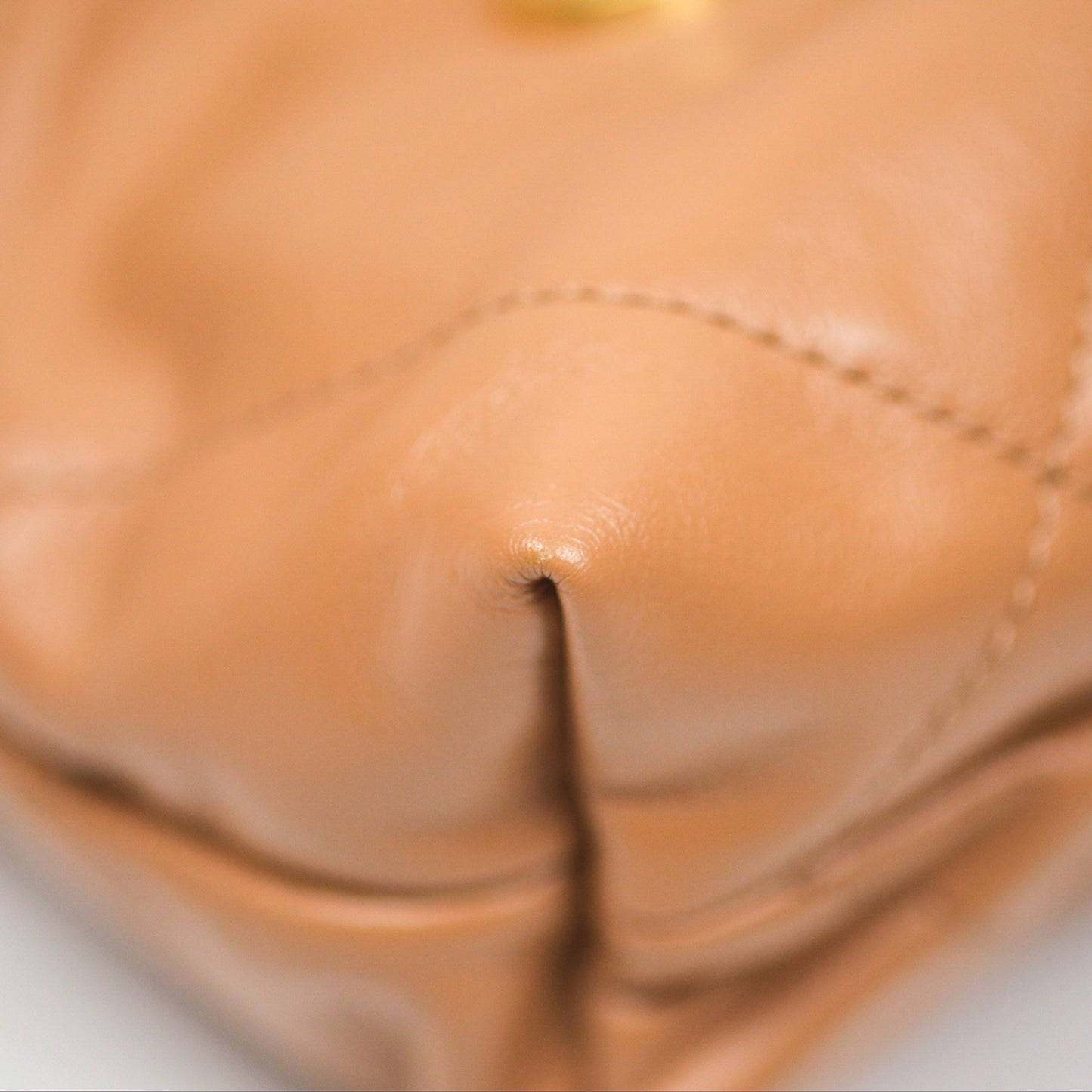 Chanel 22 Mini Bag Caramel Crumpled Calfskin