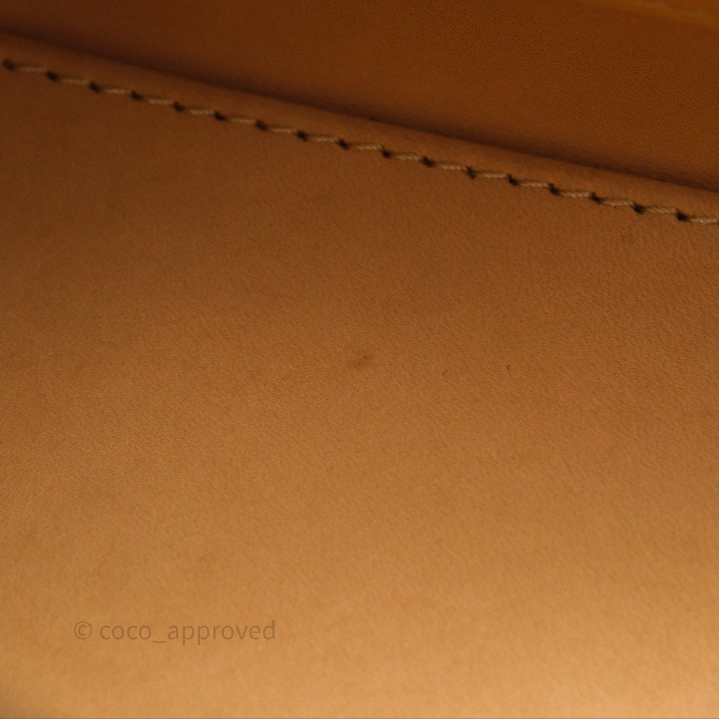 Delvaux Mini Brillant Bag Vison Grained Calfskin Gold Hardware with Twilly