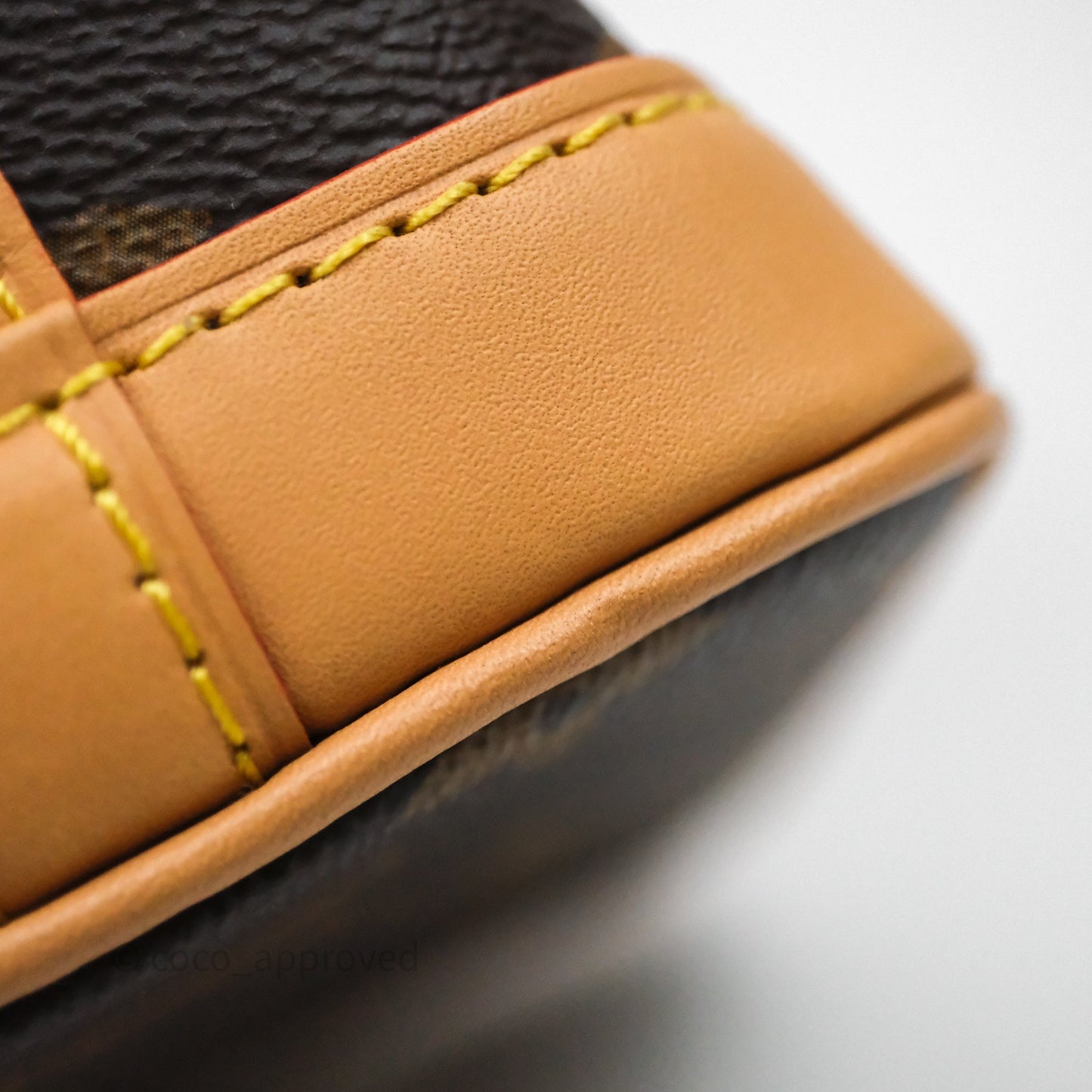 Louis Vuitton Nano Noe Monogram Canvas