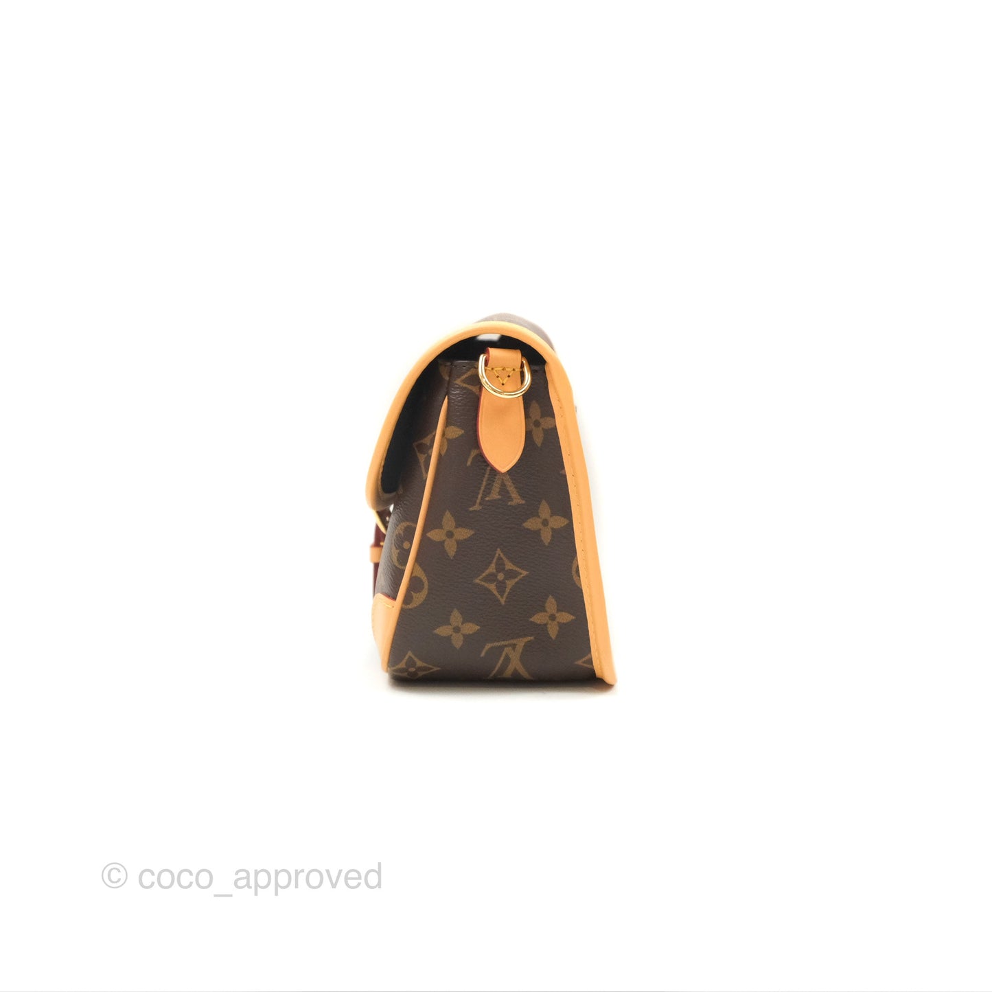 Louis Vuitton Diane Bag Monogram Canvas with Jacquard Strap