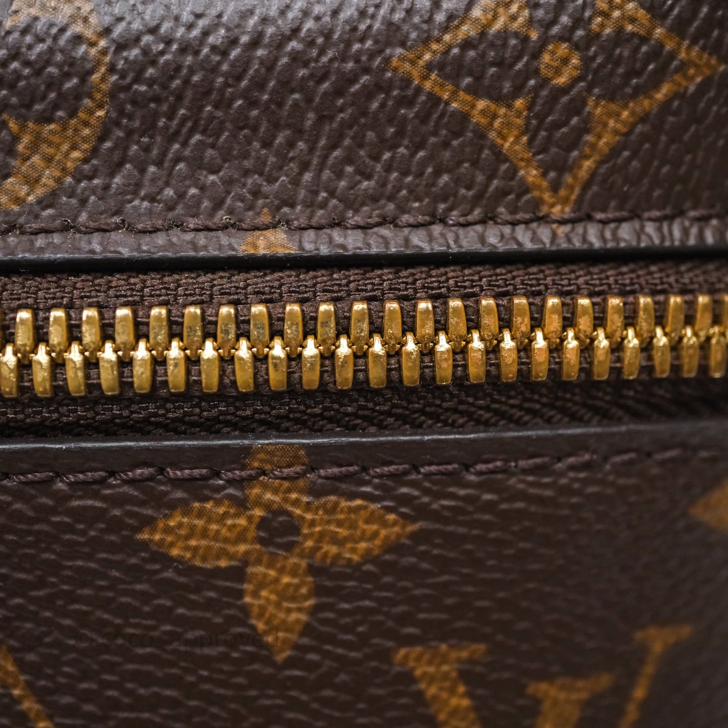 Louis Vuitton Nice Nano Monogram Canvas