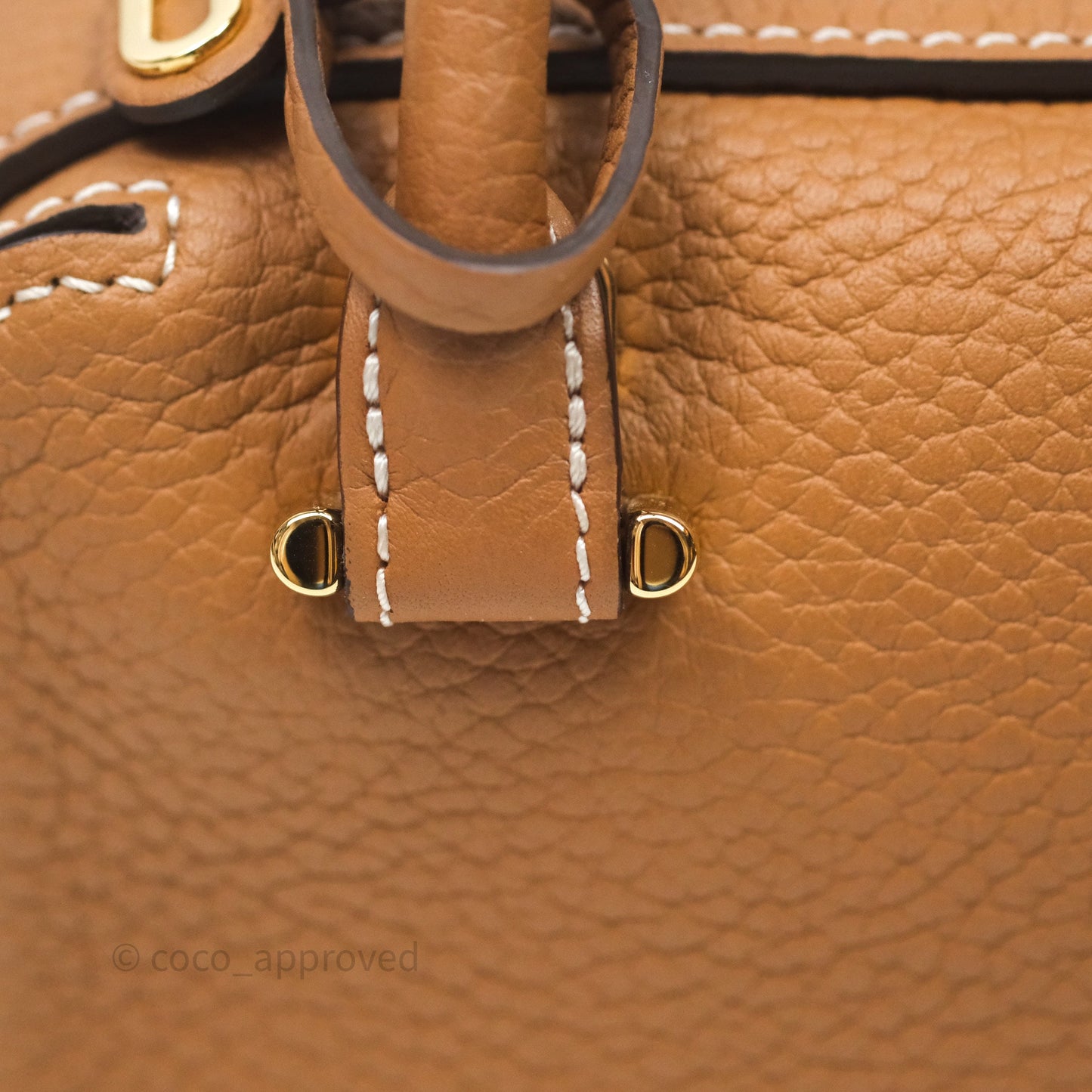 Delvaux Cool Box Nano Taurillon Soft Grained Calfskin Vegetal Ivory Gold Hardware