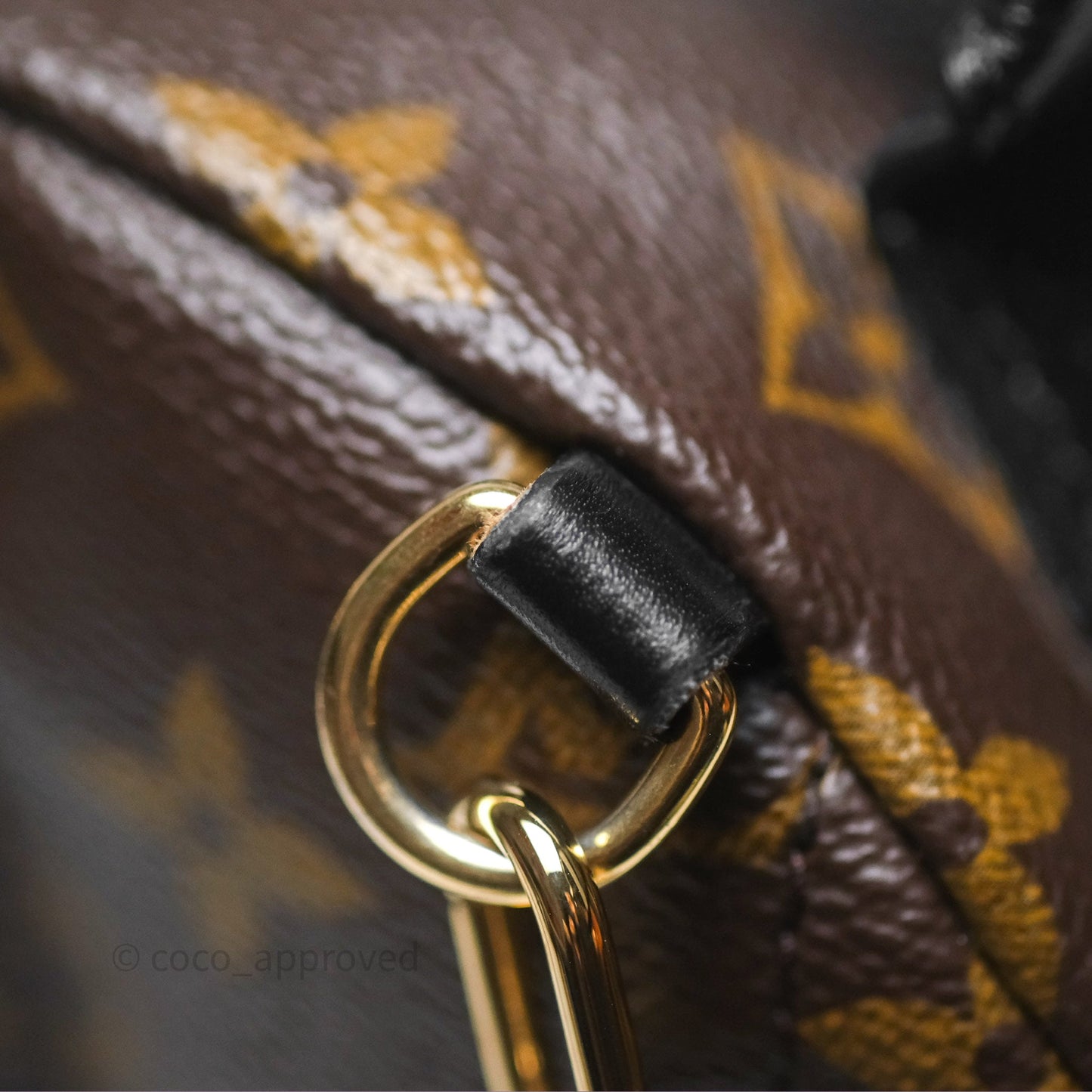Louis Vuitton Monogram Mini Palm Springs Backpack⁣