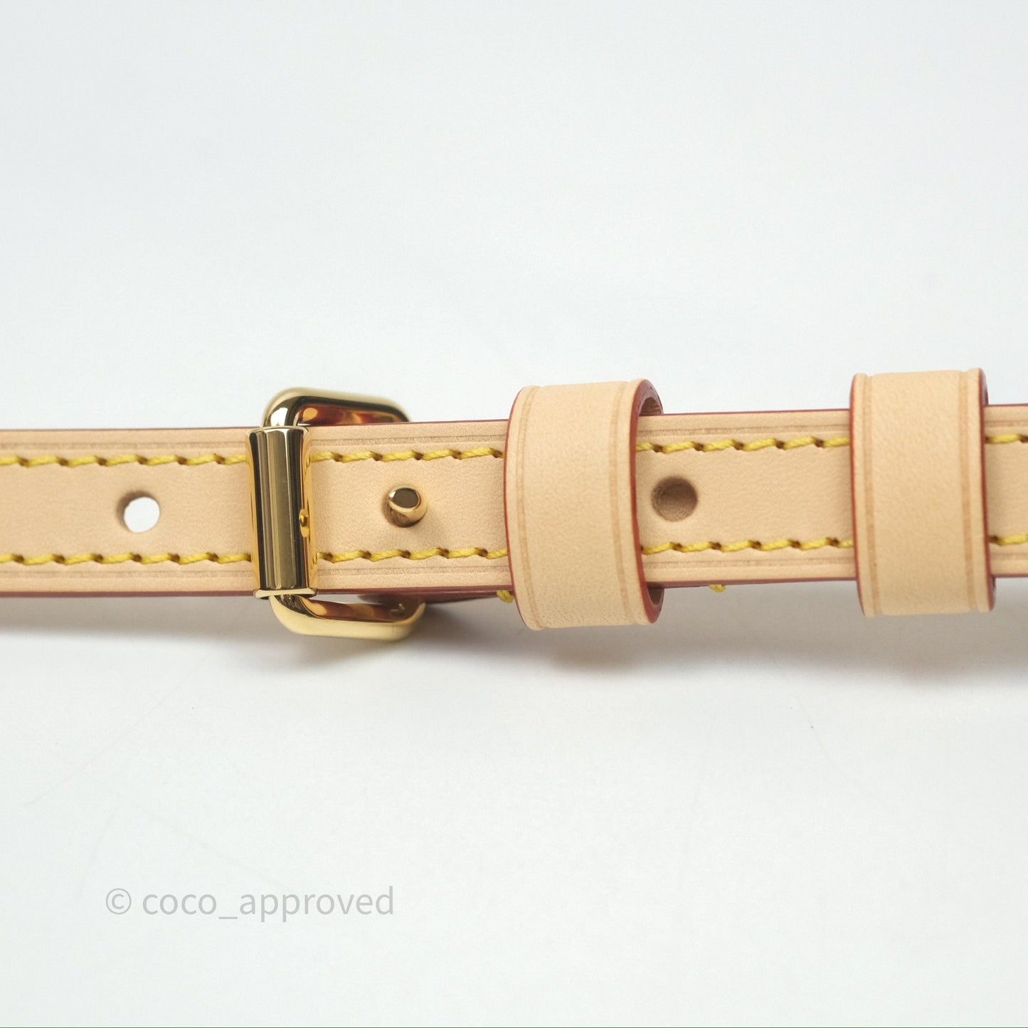 Louis Vuitton LV x Murakami Speedy Bandoulière 20 Monogram