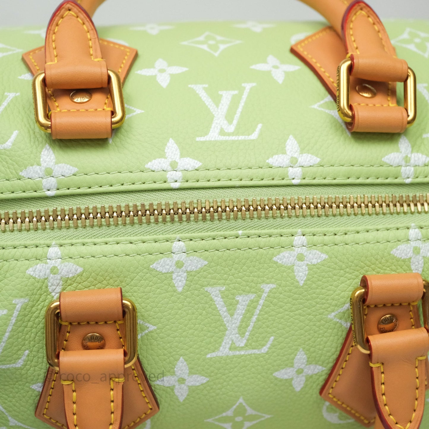 Louis Vuitton Speedy P9 Bandouliere 30 Vert Clair Bag