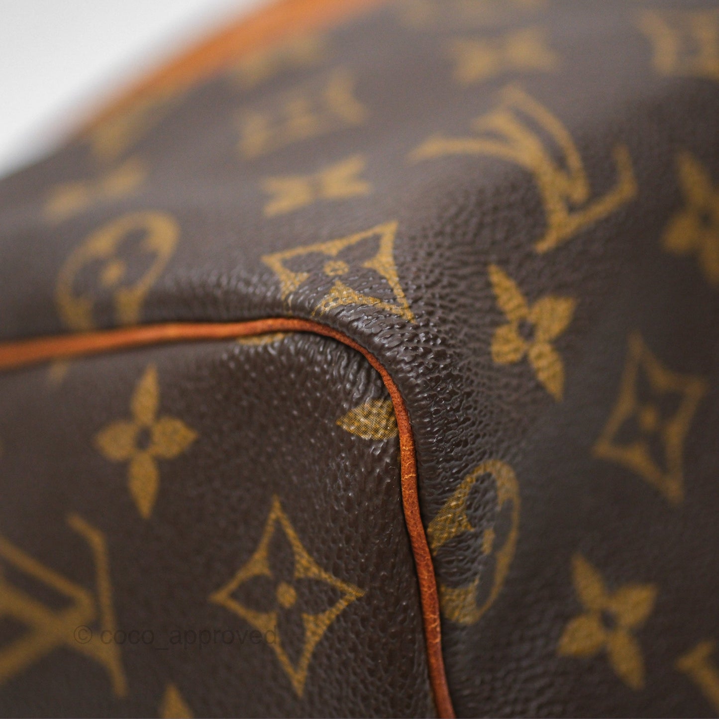 Louis Vuitton Vintage Speedy 25 Monogram Canvas