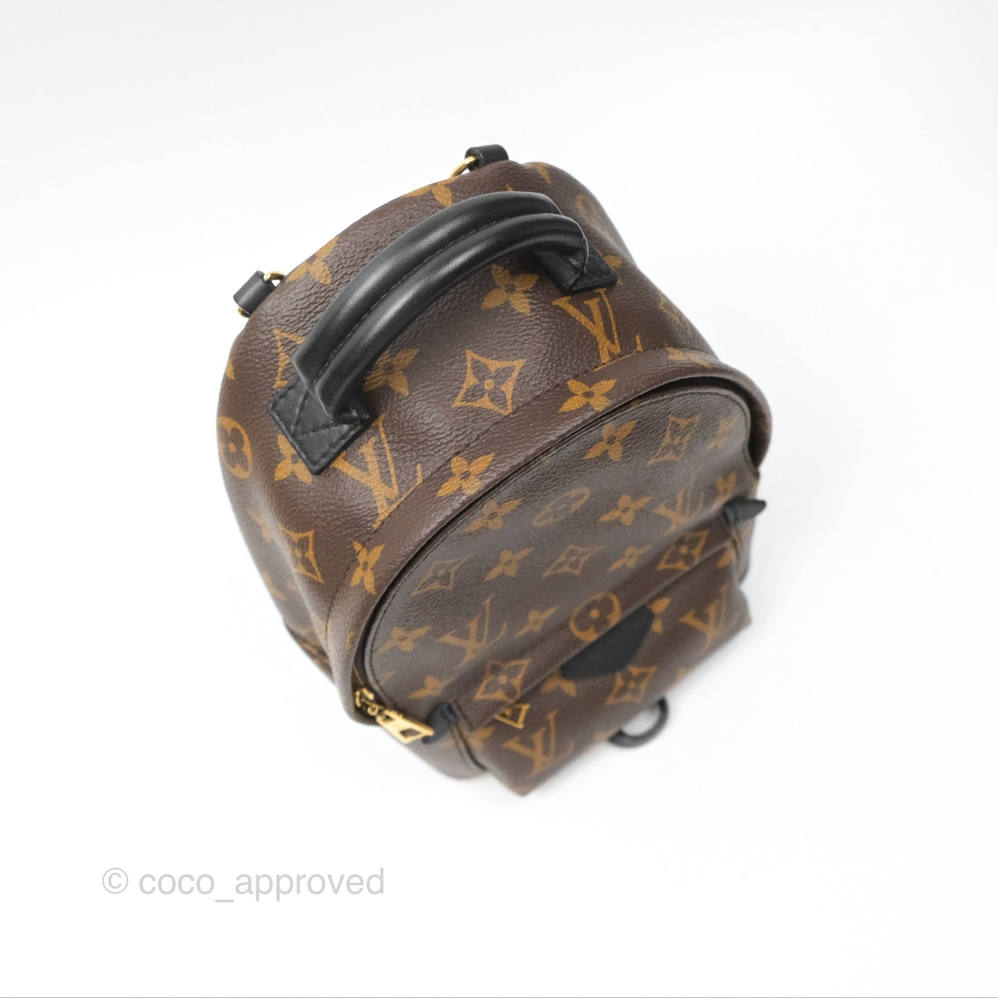 Louis Vuitton Mini Palm Springs Backpack⁣ Monogram Canvas