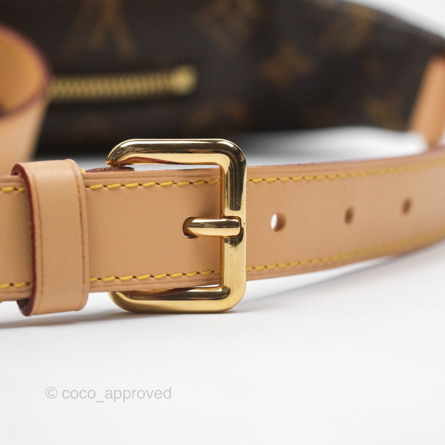 Louis Vuitton Bum Bag Monogram Canvas