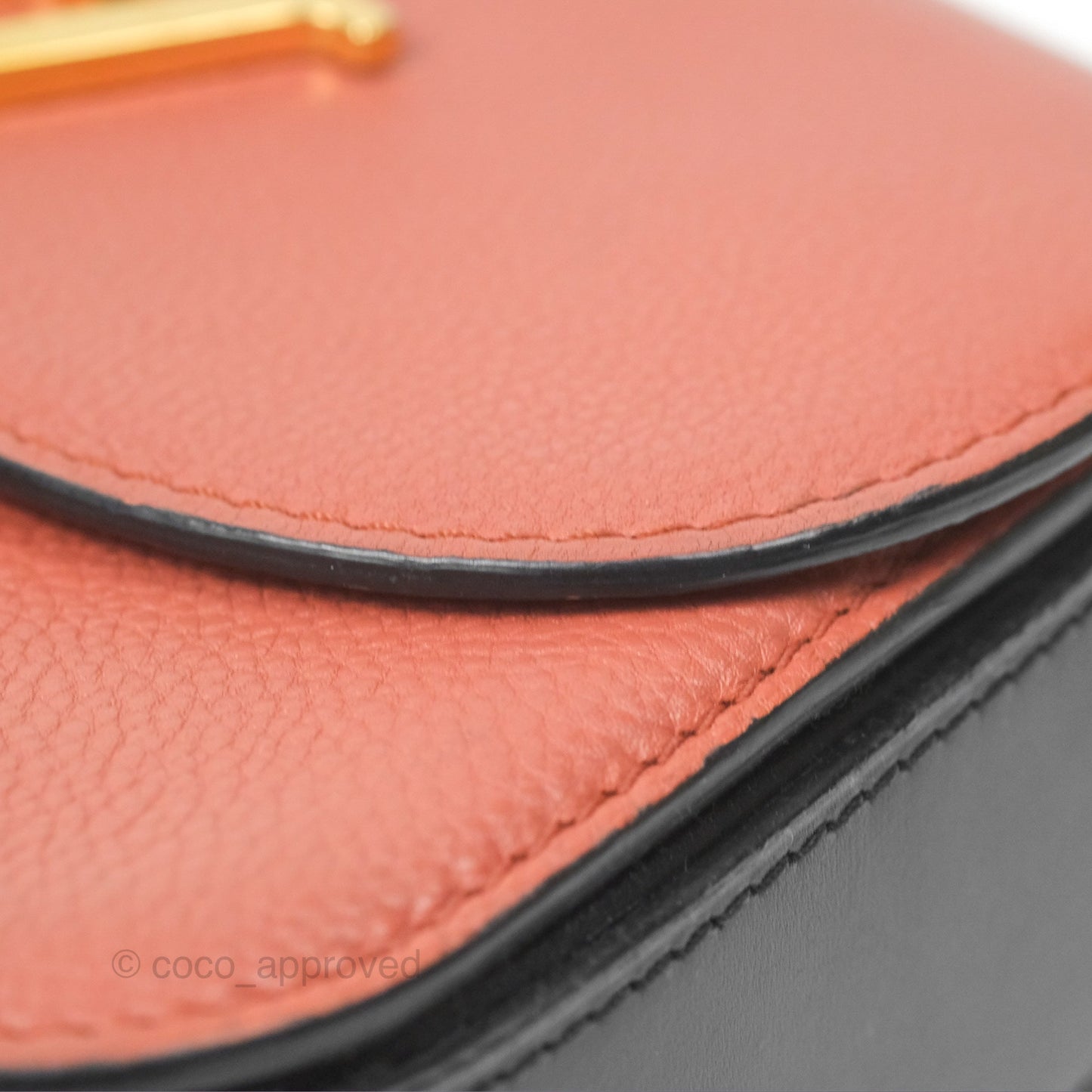 Louis Vuitton Vivienne Bag Brick Red Black