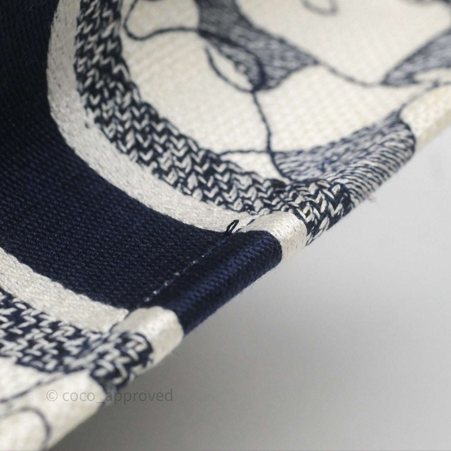 Dior Around The World Vertical Book Tote Blue White