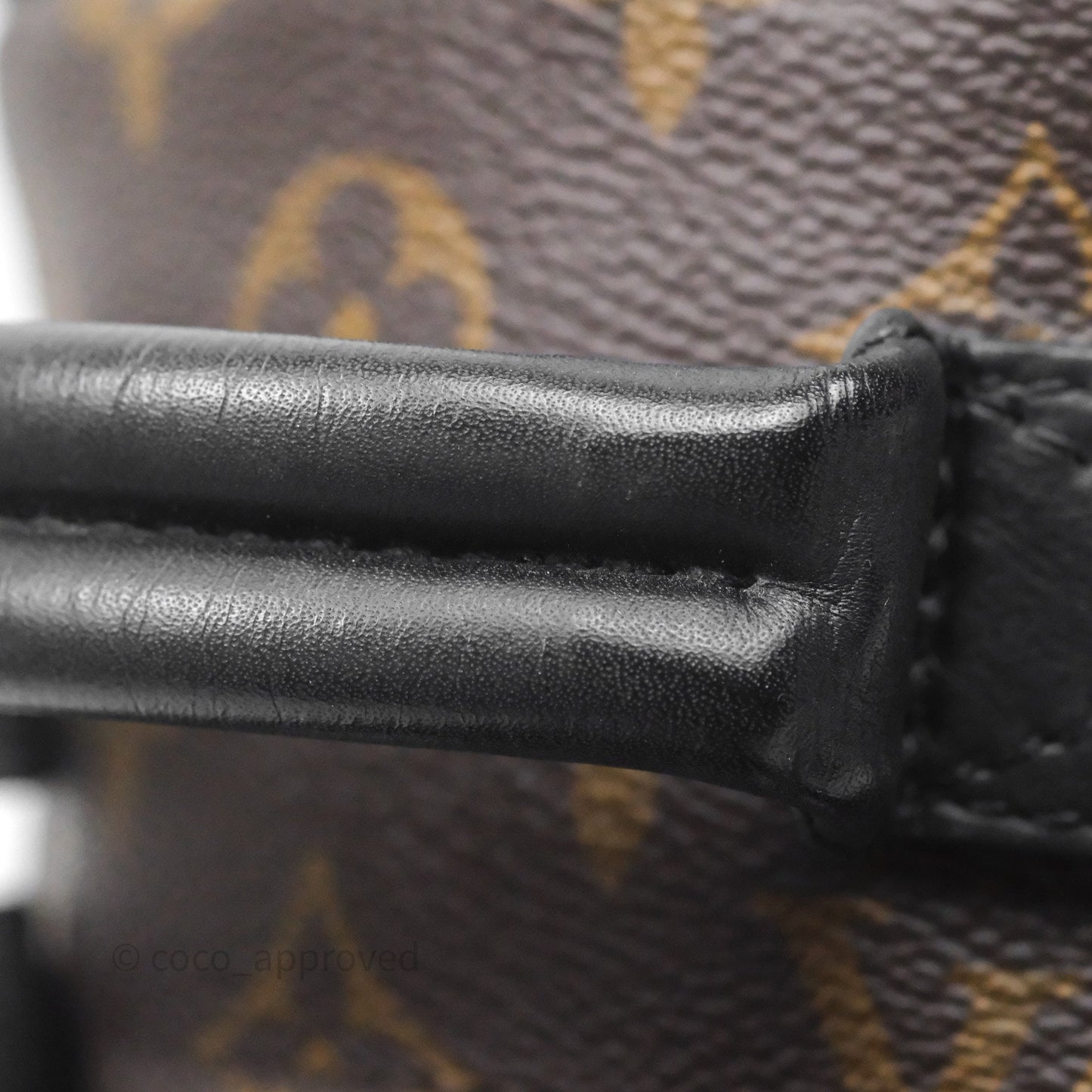 Louis Vuitton Mini Palm Springs Backpack⁣ Monogram