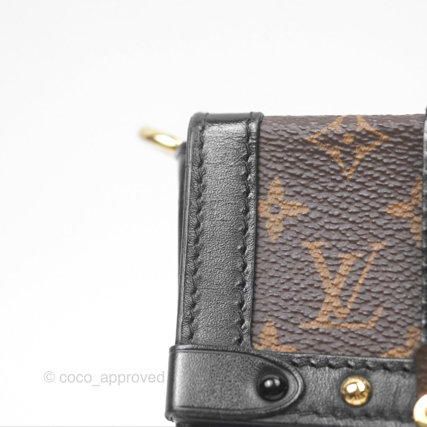 Louis Vuitton Monogram Vertical Trunk Pochette