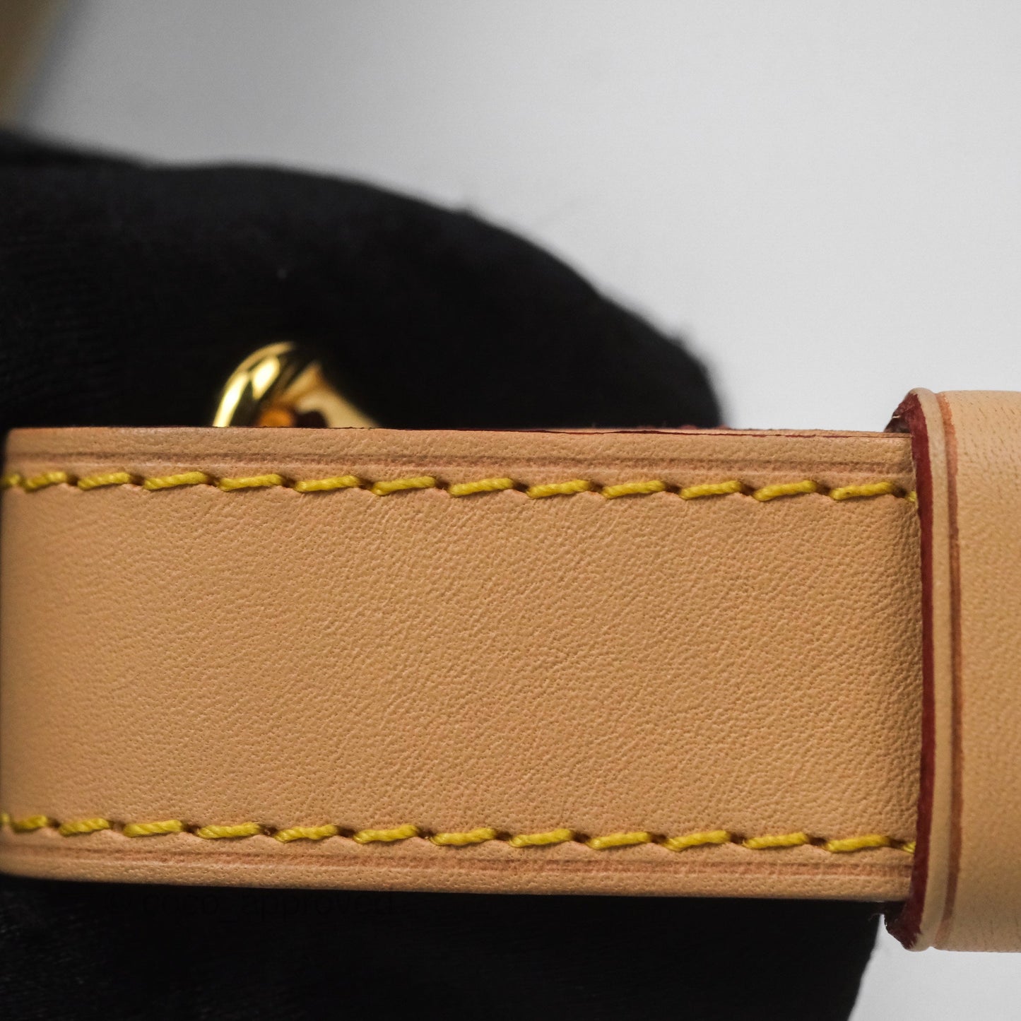 Louis Vuitton Bum Bag Monogram Canvas