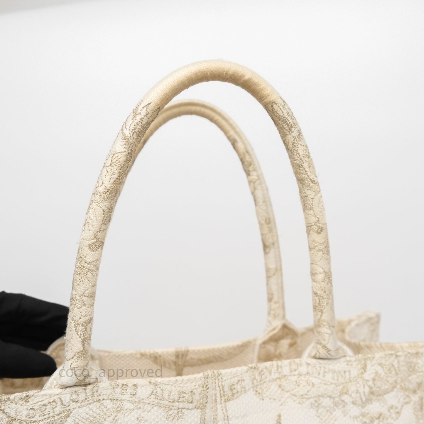 Dior Medium Book Tote Dior Rêve d'Infini Embroidery with Gold-Tone Metallic Thread