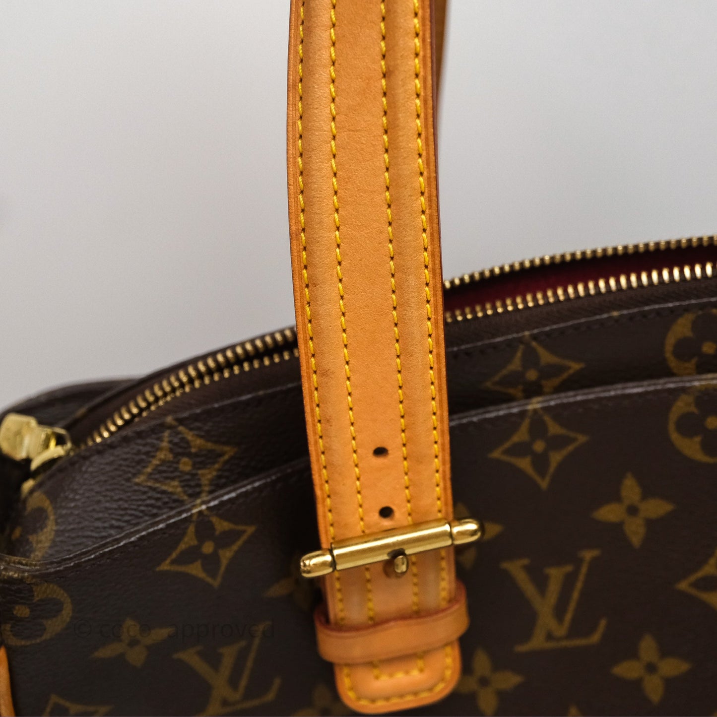 Louis Vuitton Multipli-Cite Tote Monogram Canvas
