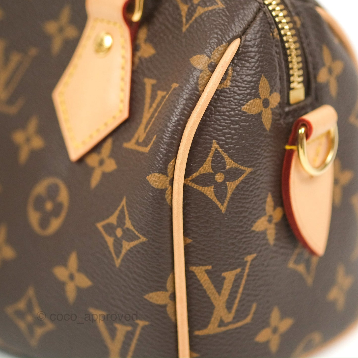 Louis Vuitton Speedy Bandoulière 20 Monogram