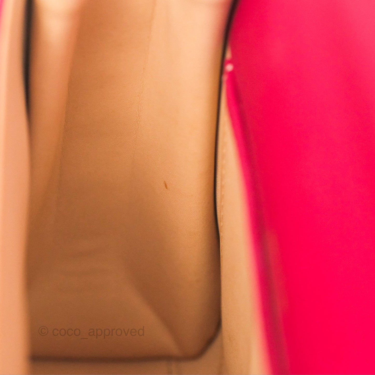 Delvaux Tempête Mini in Silky Calf Framboise