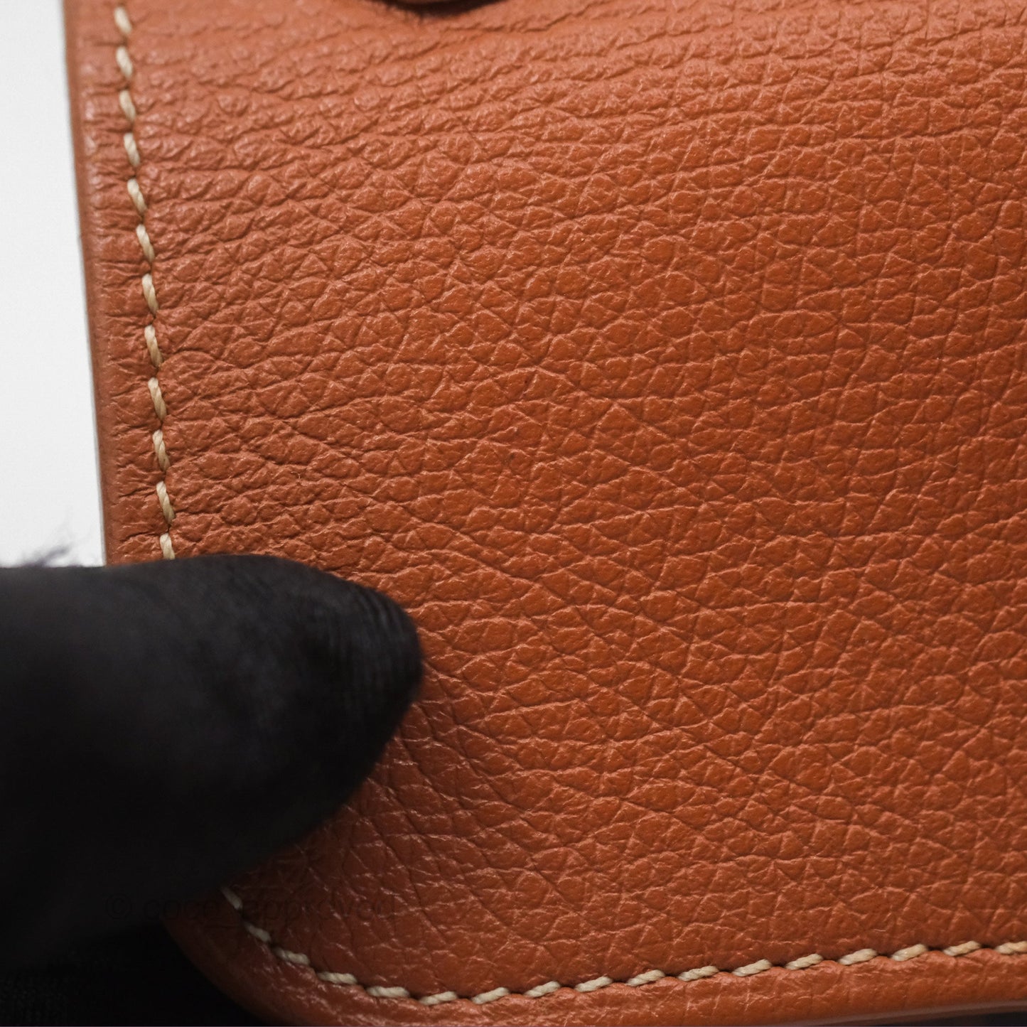 Goyard Saïgon Mini Bag Tan Goyardine Canvas/Chevroches Calfskin