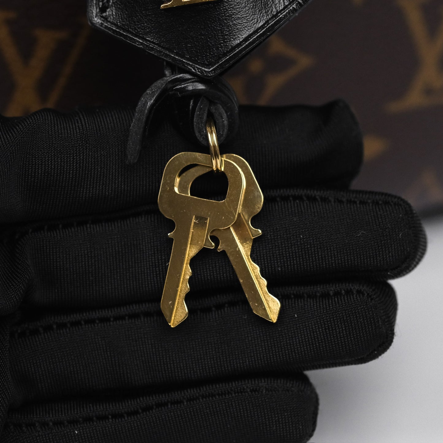 Louis Vuitton Reverse Monogram Vanity PM