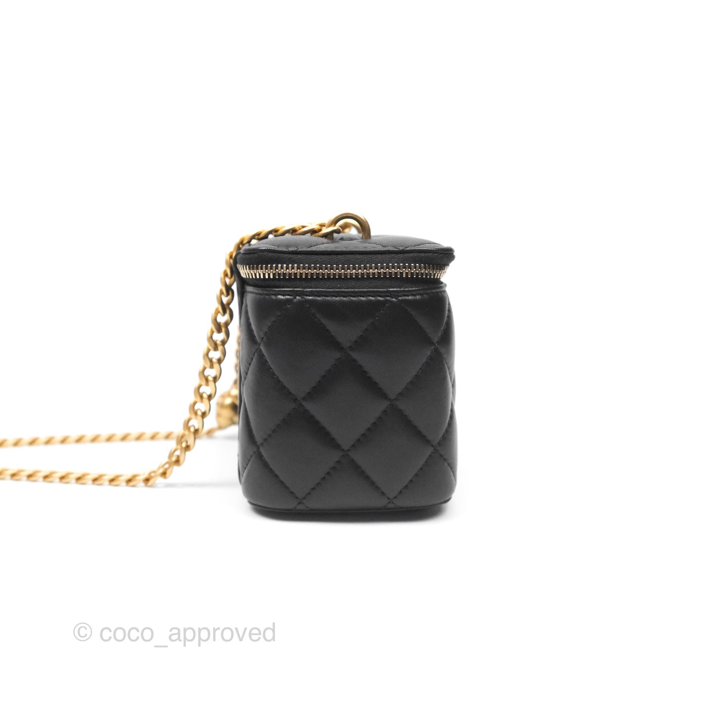 Chanel Quilted Vanity Rectangular with Camellia Adjustable Chain Black Lambskin 23S