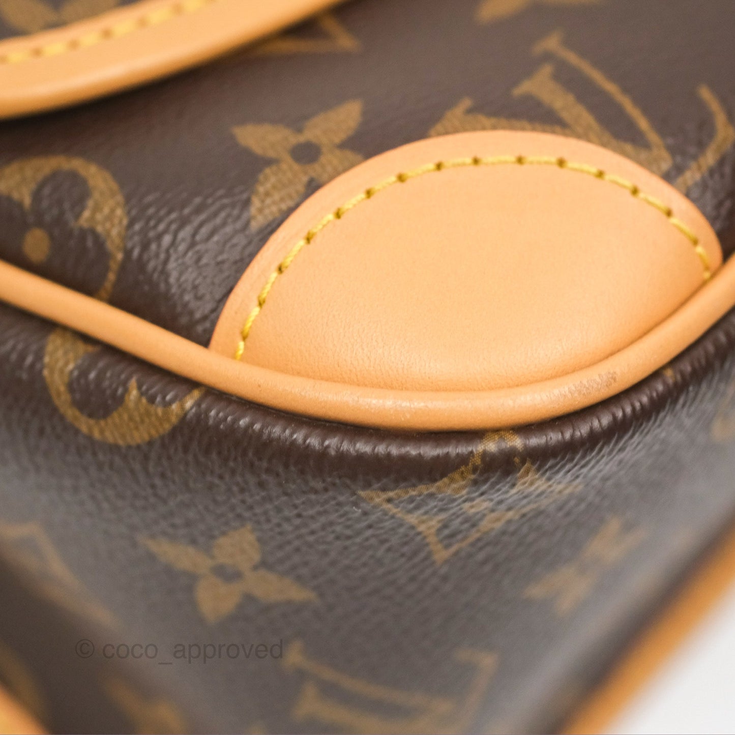 Louis Vuitton Diane Bag Monogram Canvas with Jacquard Strap