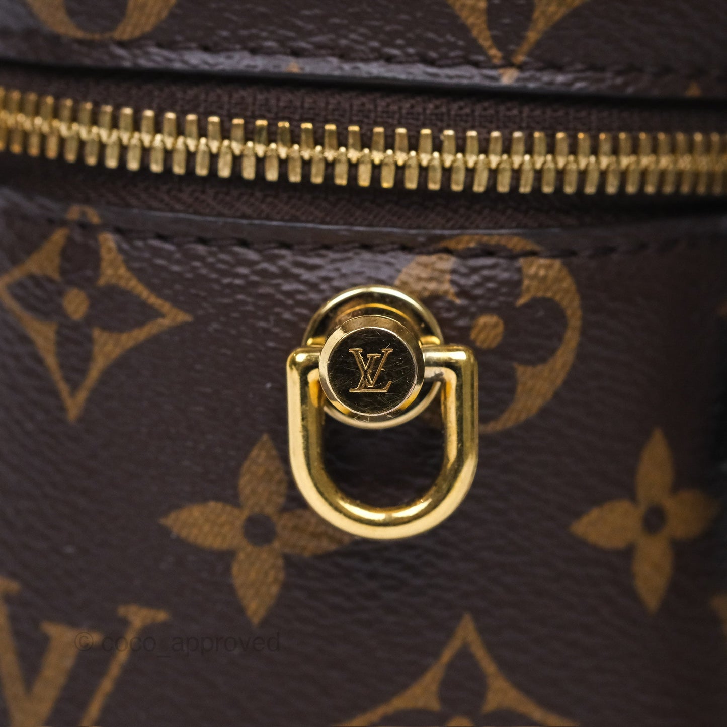 Louis Vuitton Reverse Monogram Vanity PM