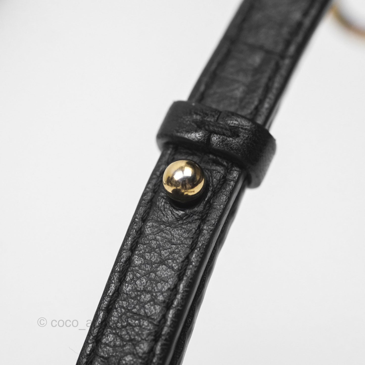 Louis Vuitton Monogram Mini Palm Springs Backpack⁣
