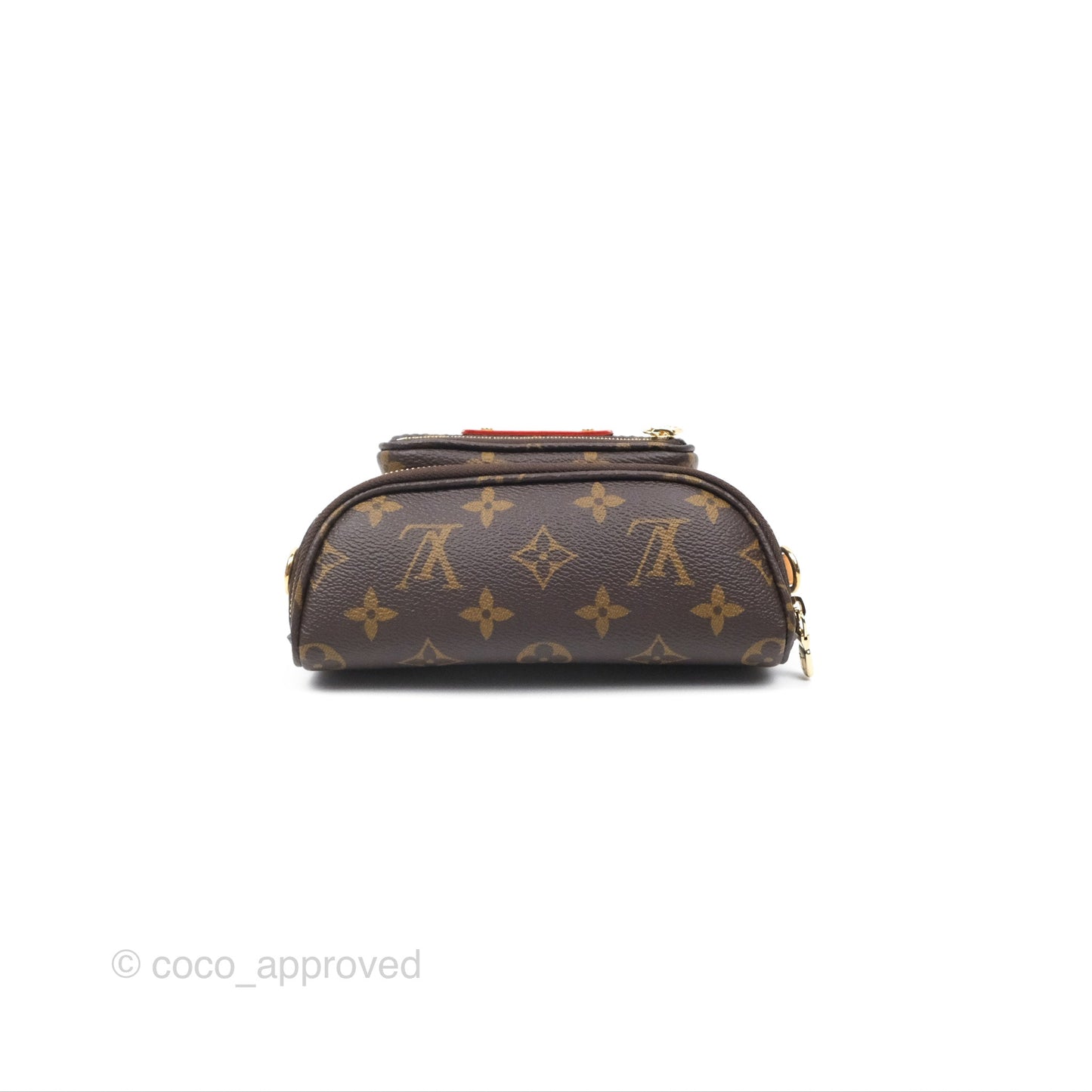Louis Vitton Mini Bumbag in Monogram Canvas