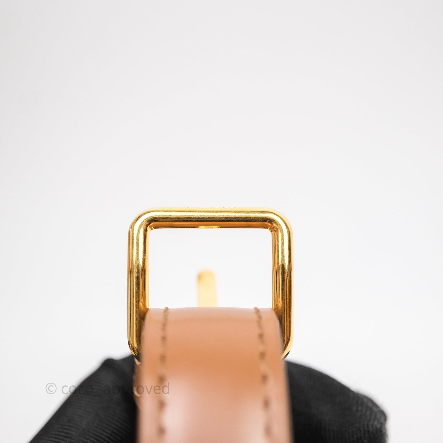 Celine Teen Triomphe Bag Shiny Calfskin Brown