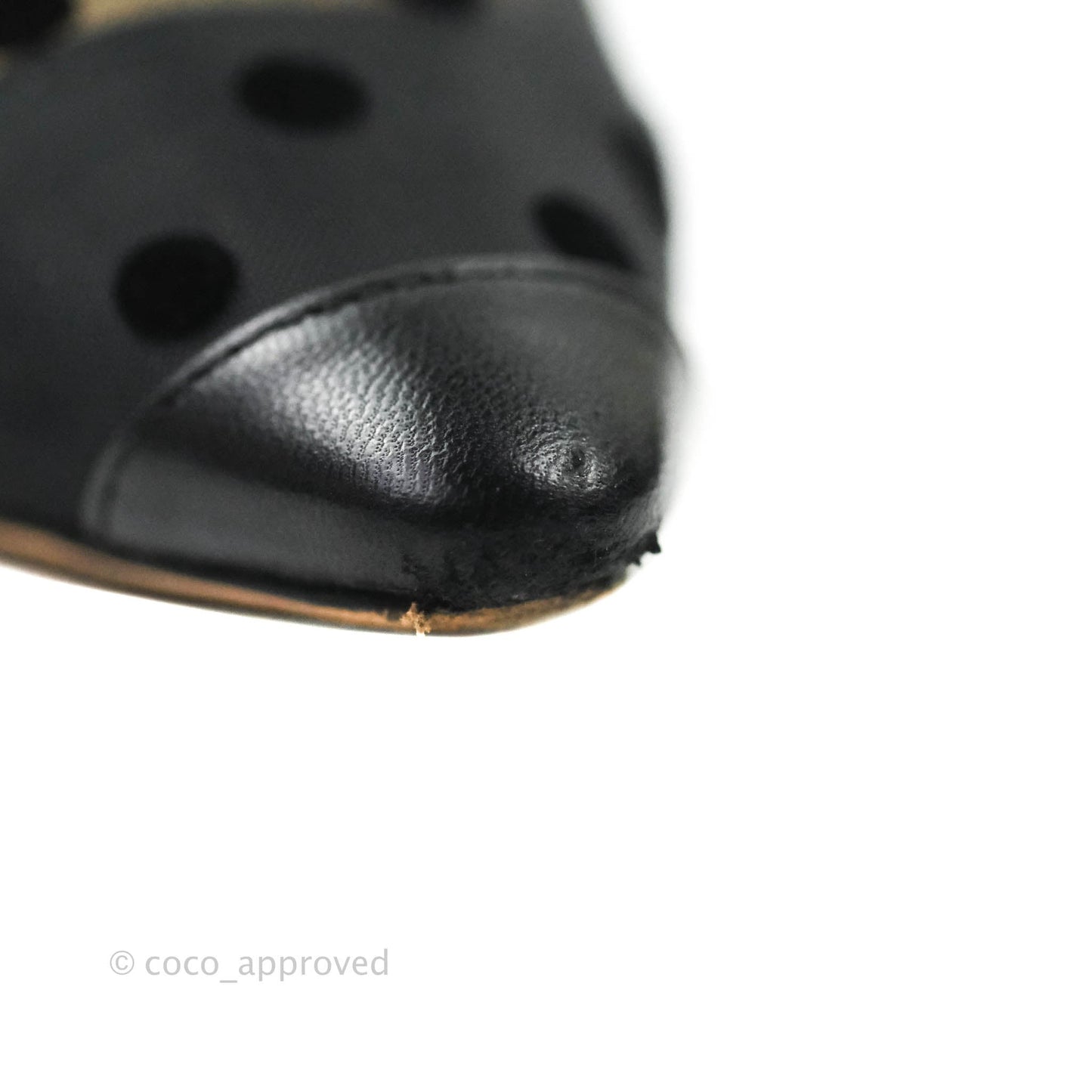 Jimmy Choo Romy 100 Polka Dot Mesh Pumps in Black